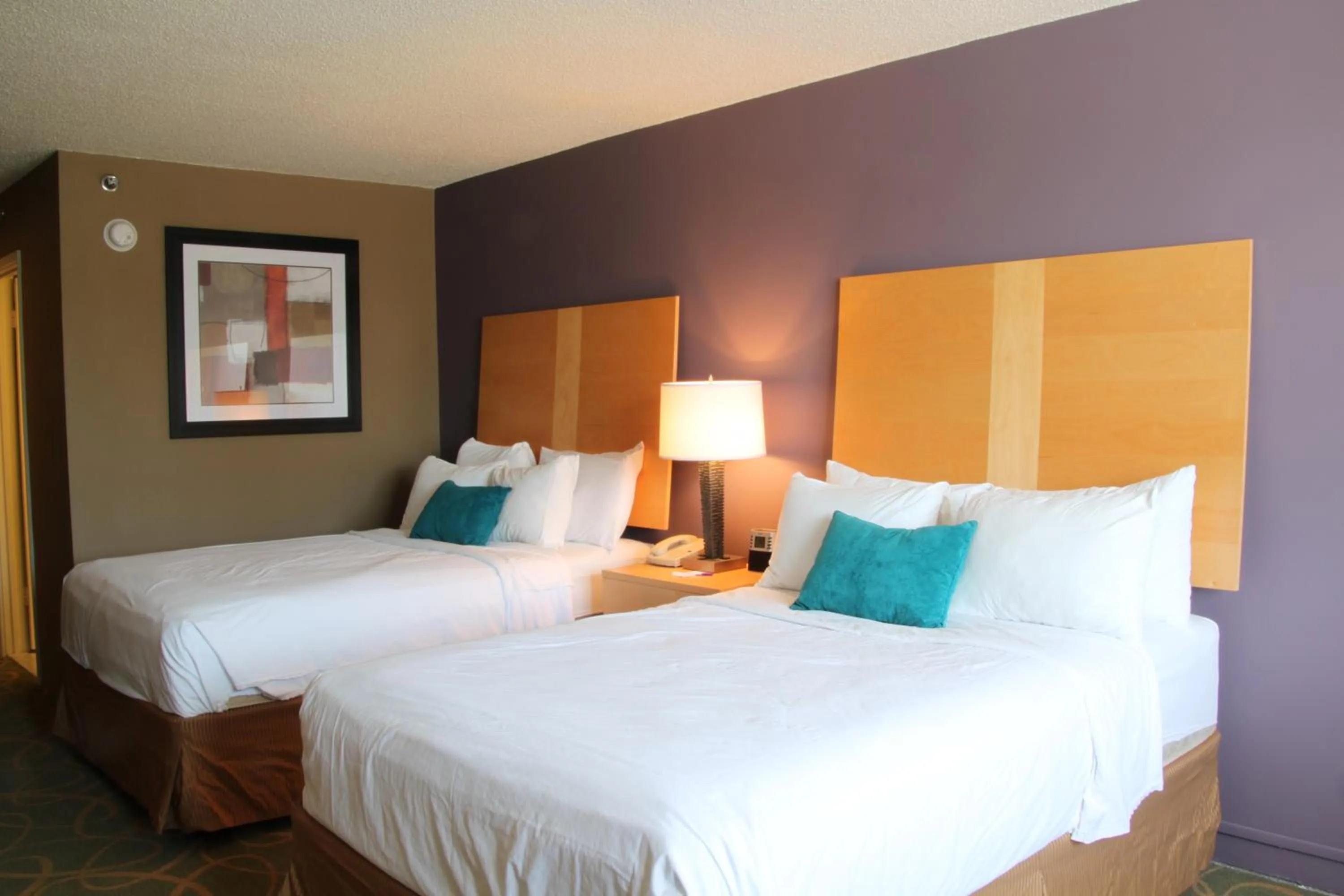 Photo of the whole room in Trip Hotel Ithaca