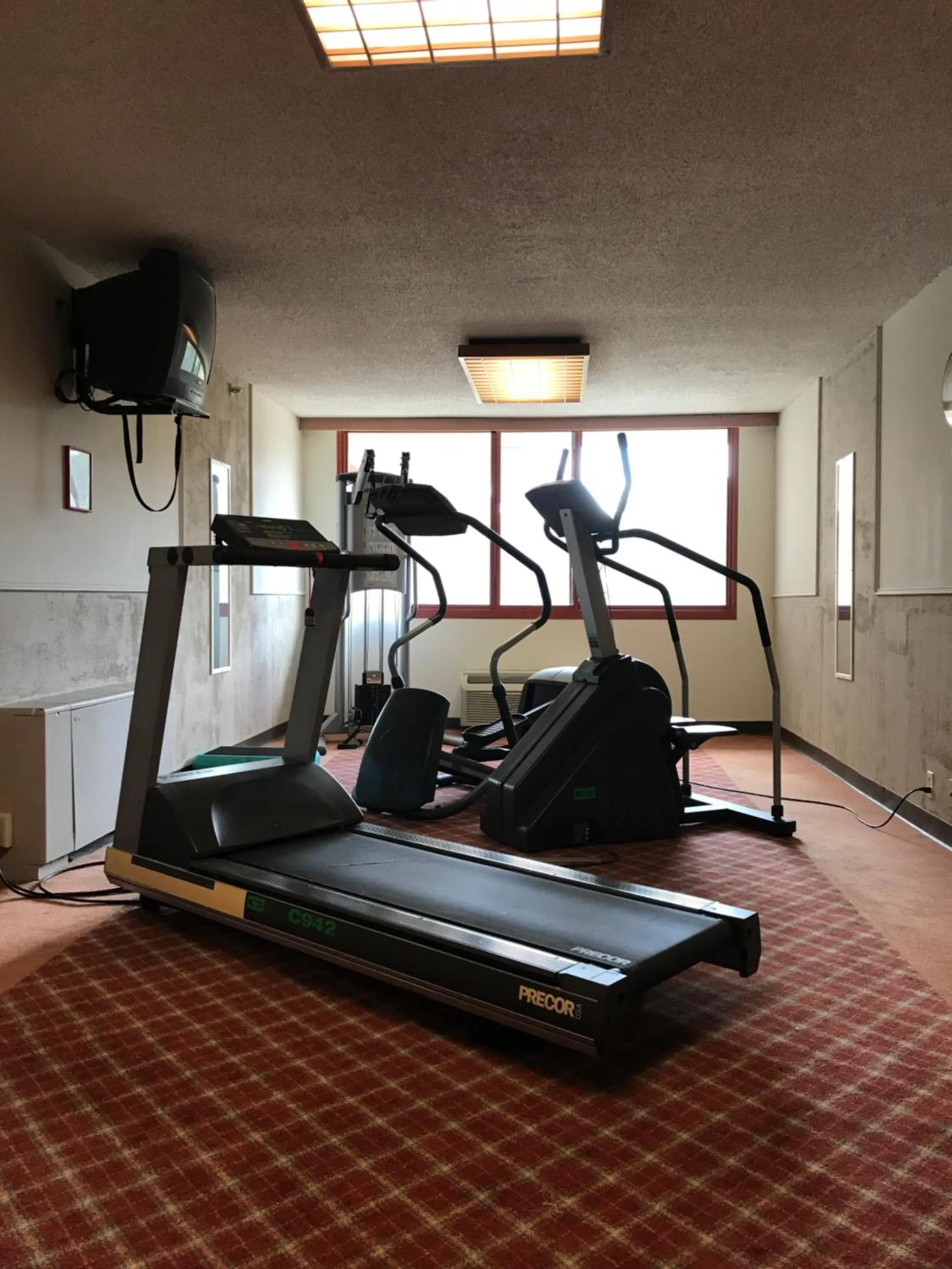 Fitness centre/facilities in Trip Hotel Ithaca