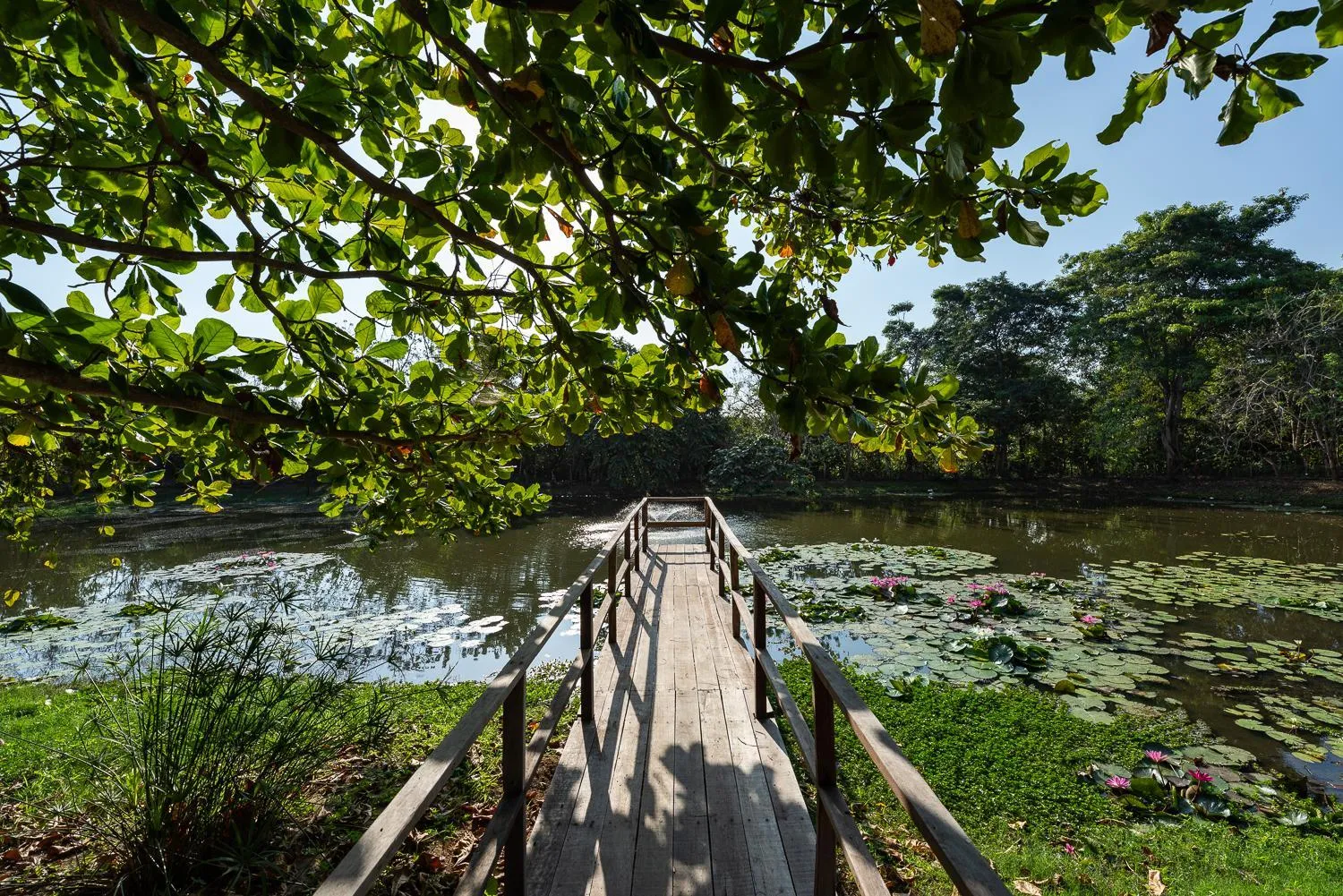 Lake view in Aite Eco Resort