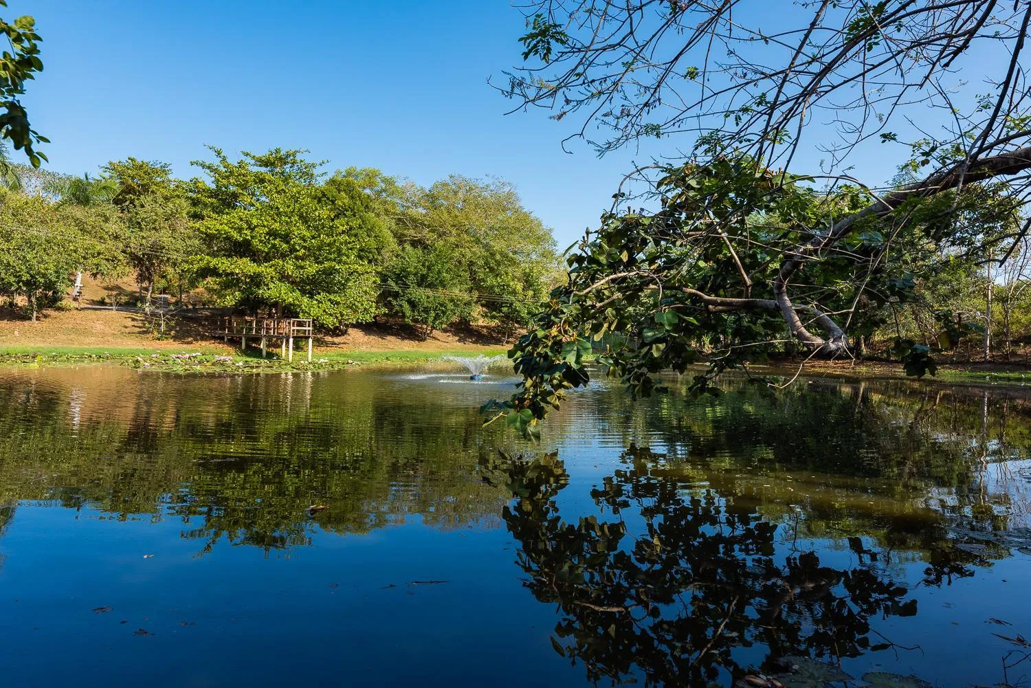 Spring in Aite Eco Resort