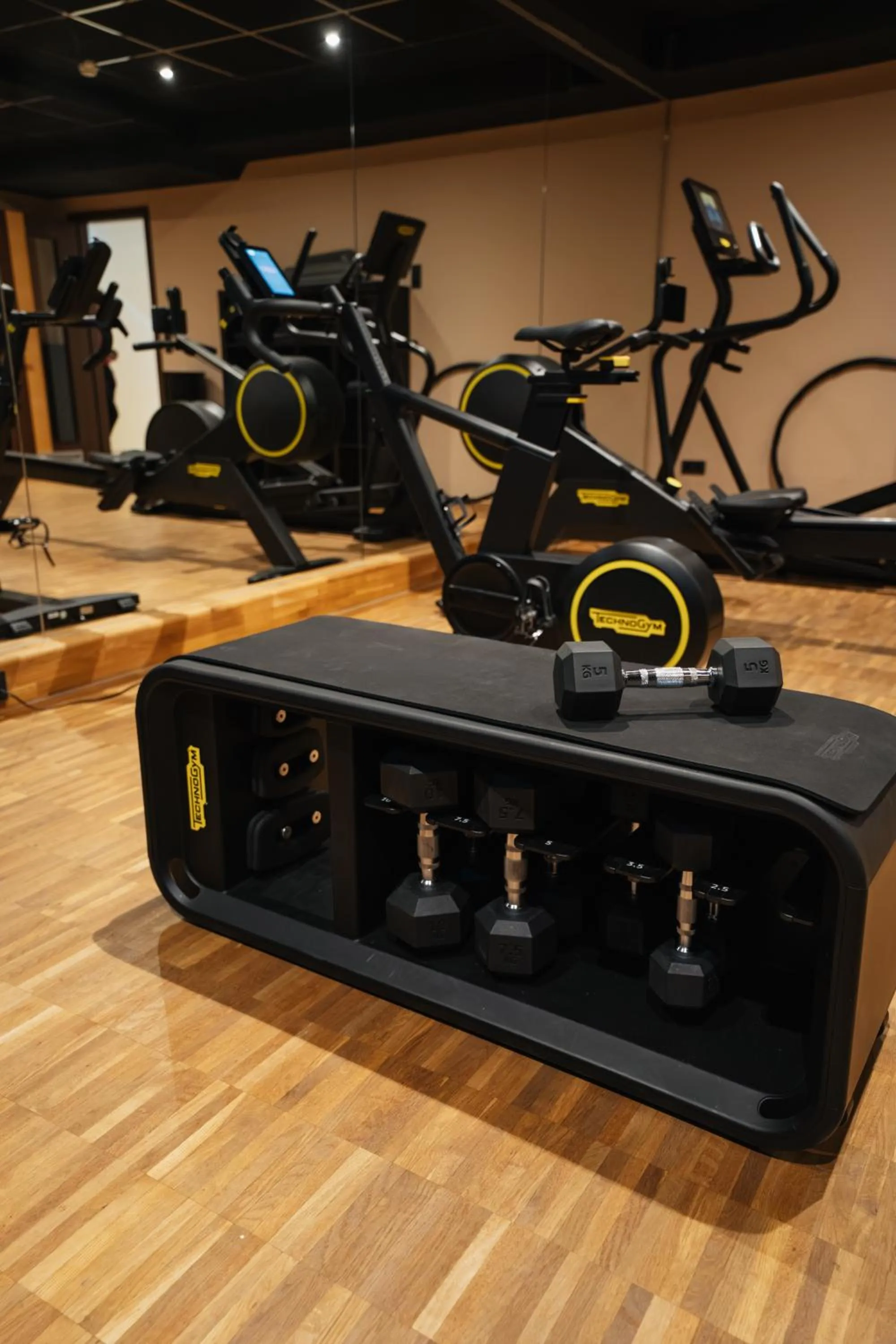 Fitness centre/facilities in Ringhotel Niedersachsen