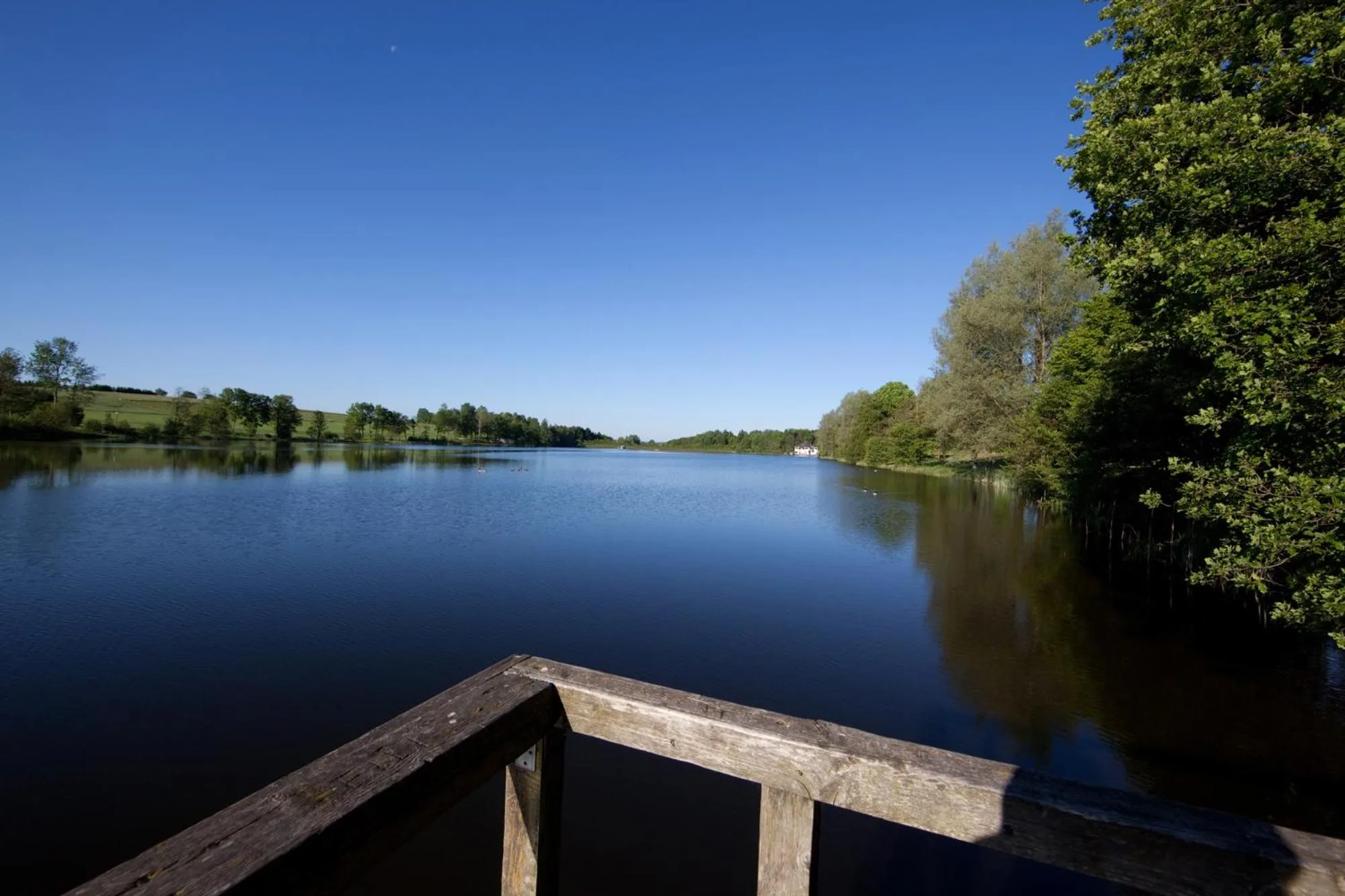River view in Seehotel