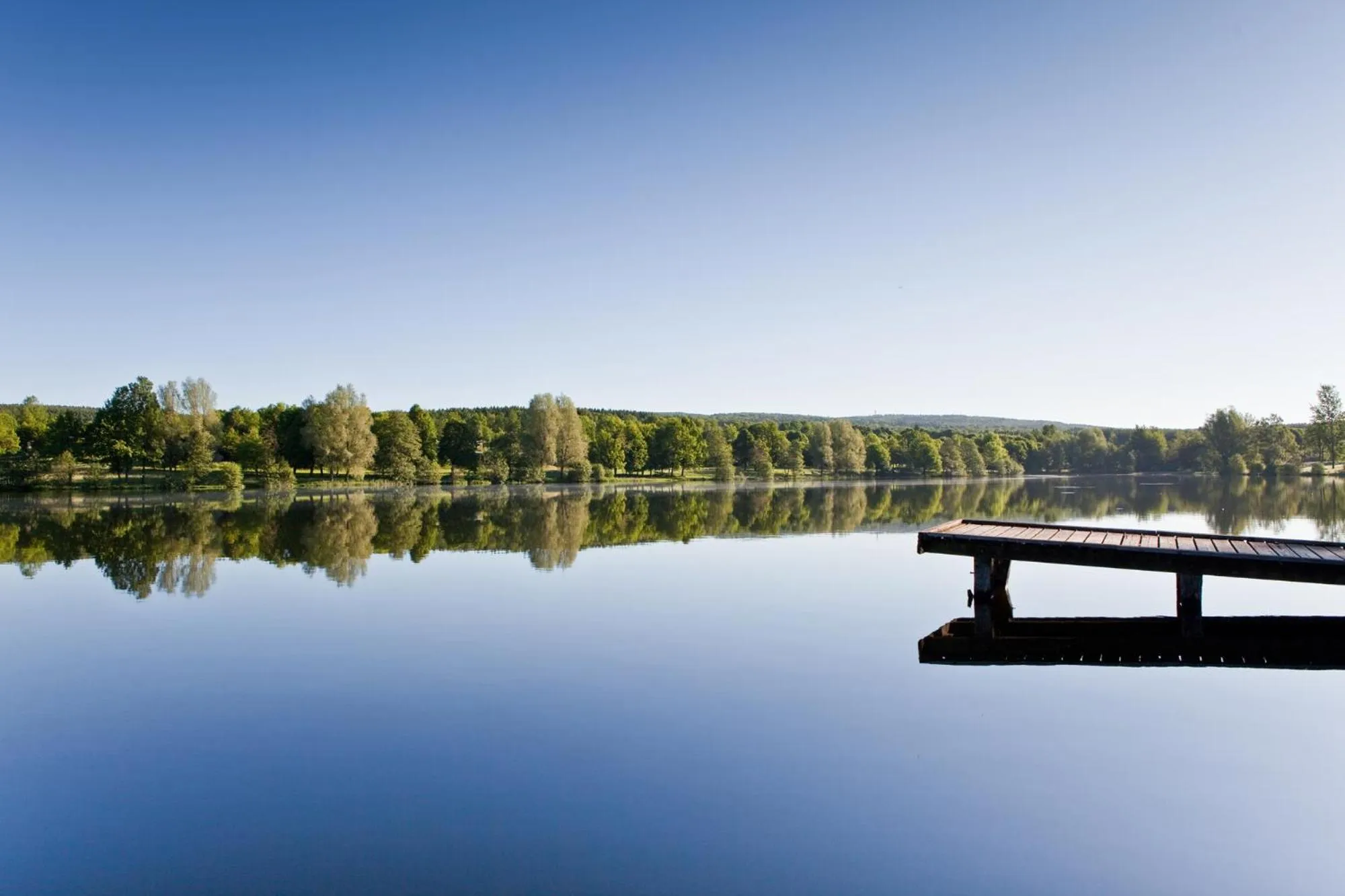 Restaurant/places to eat in Seehotel