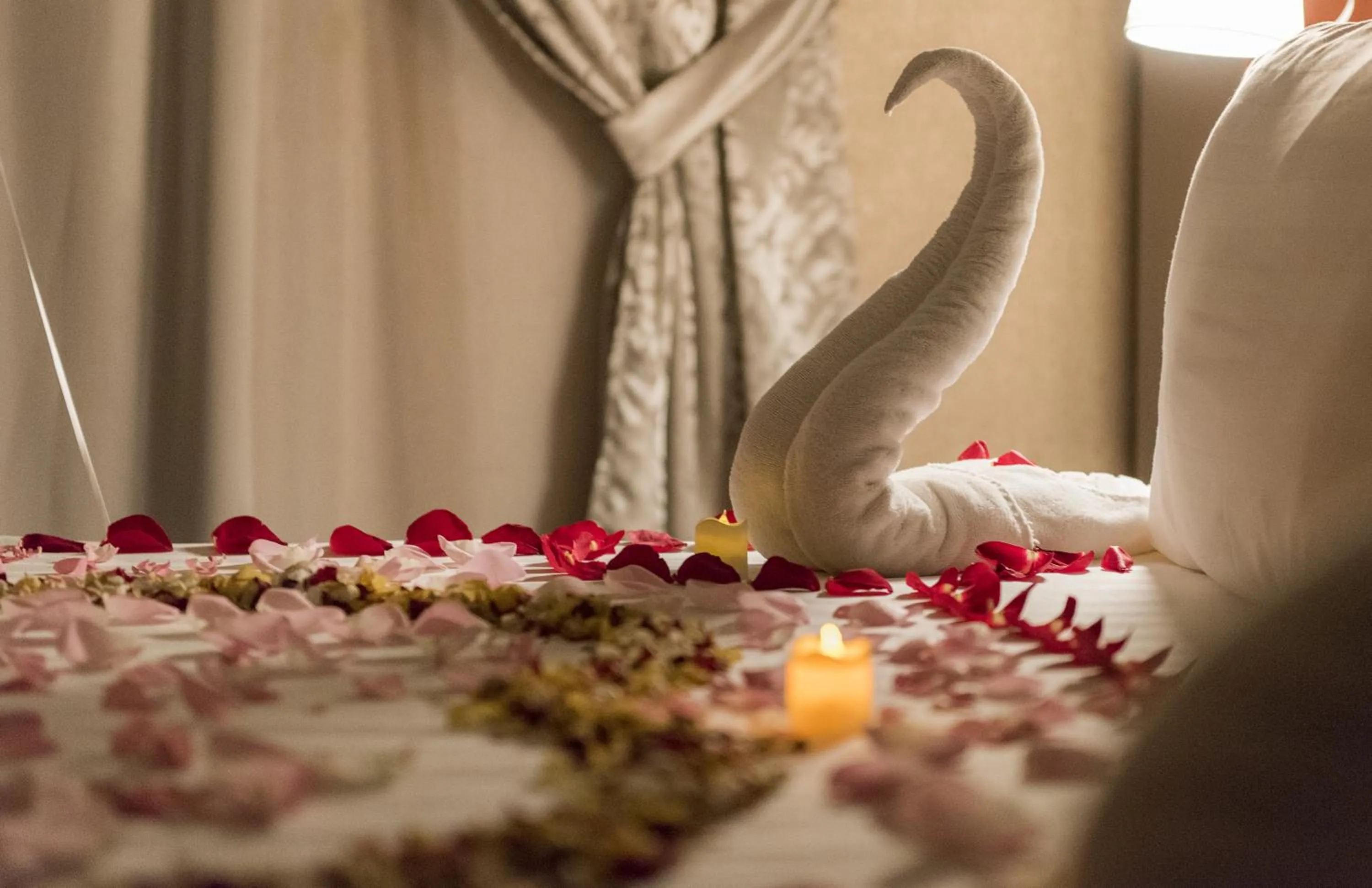 Other in Sharz Hotel