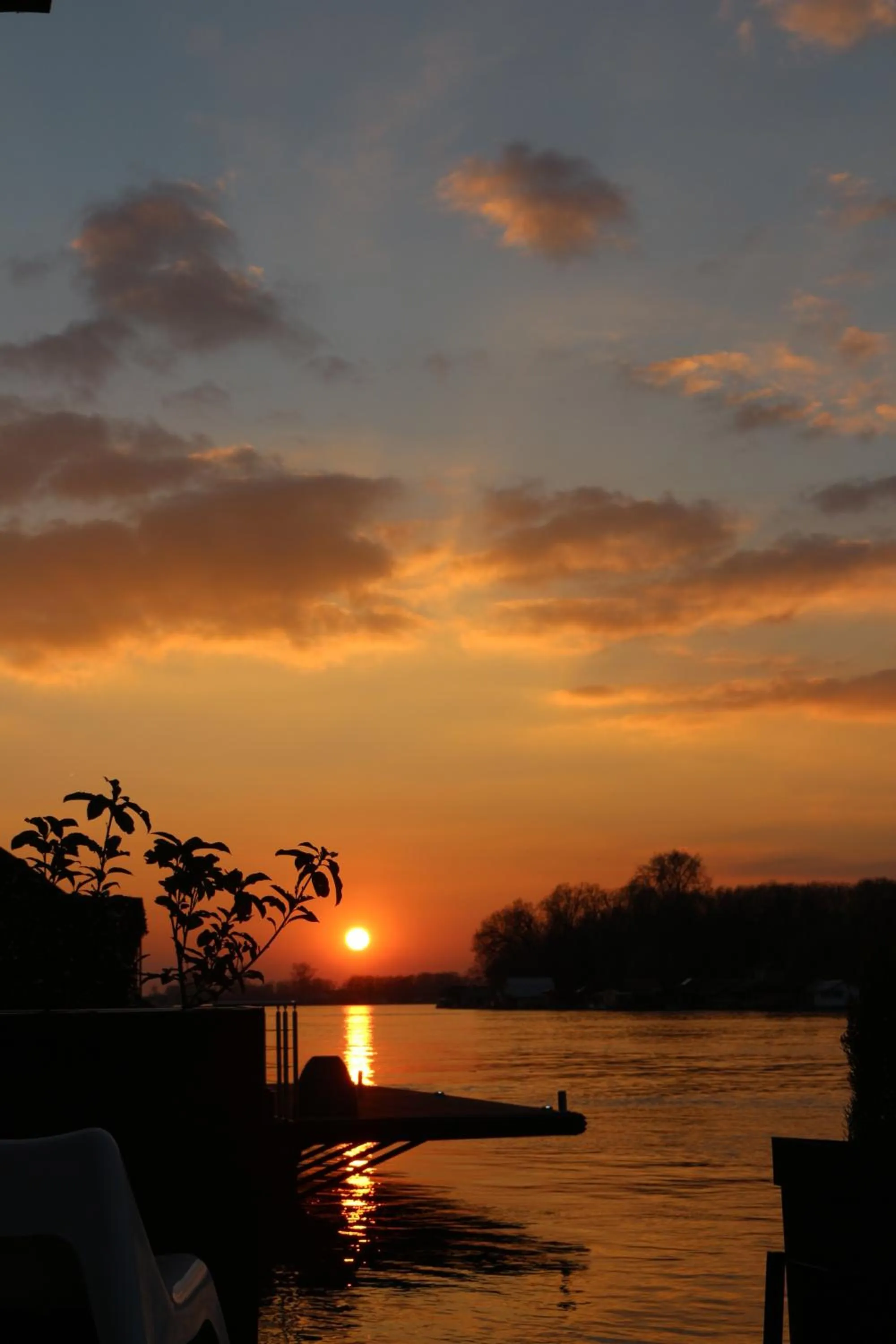 Natural landscape in Beach House Belgrade