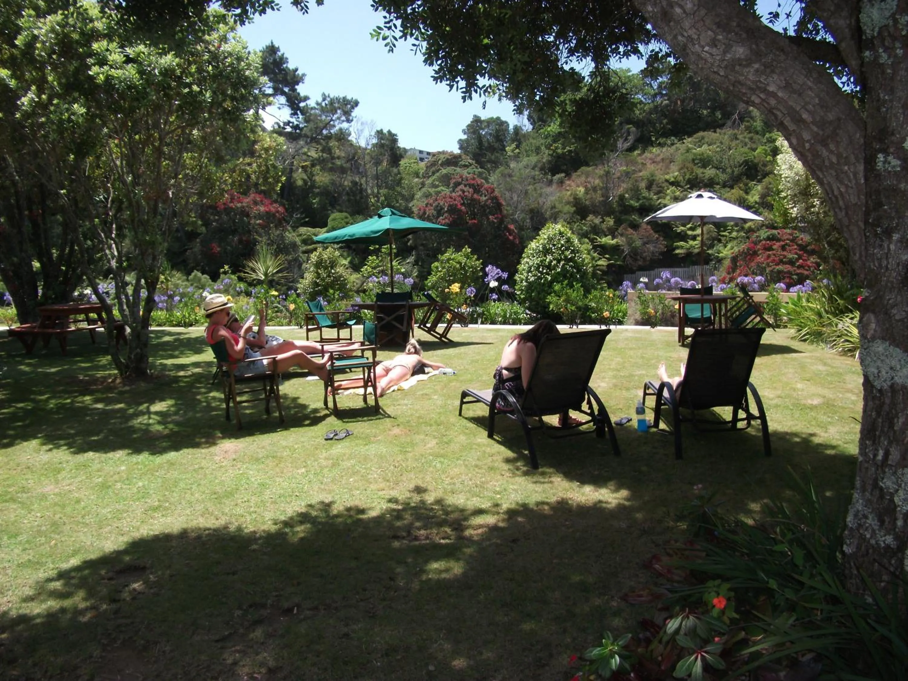 Garden in Tatahi Lodge Beach Resort
