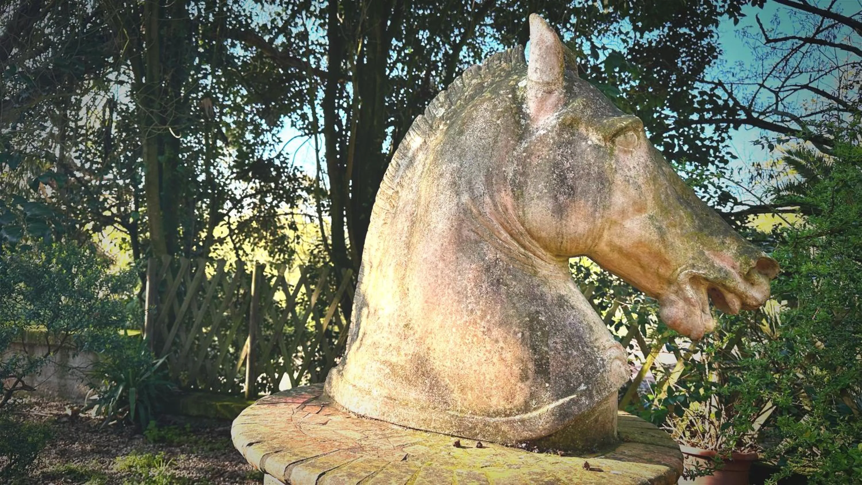 Night in the Wood Sorbo