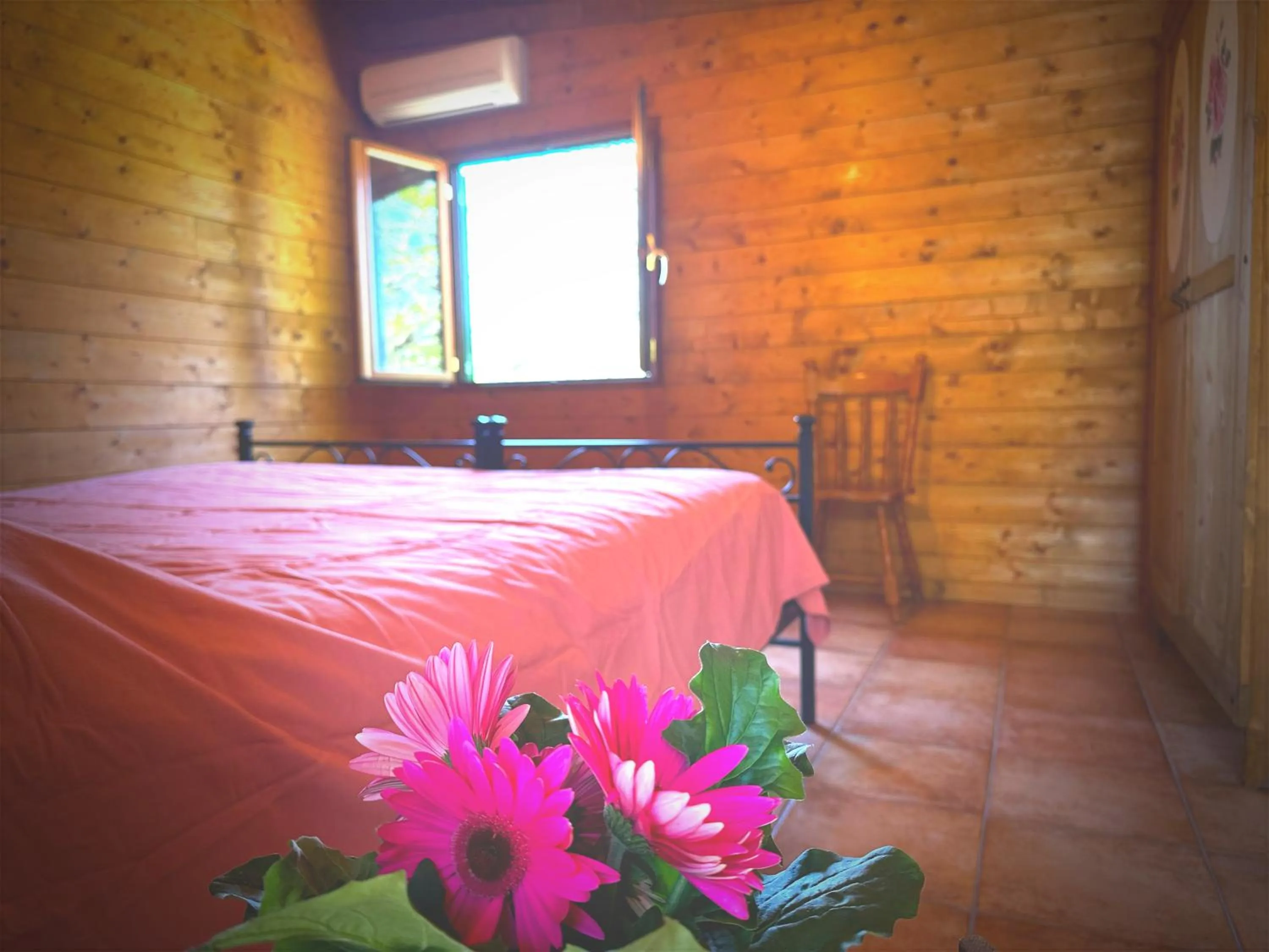 Bed in Night in the Wood Sorbo