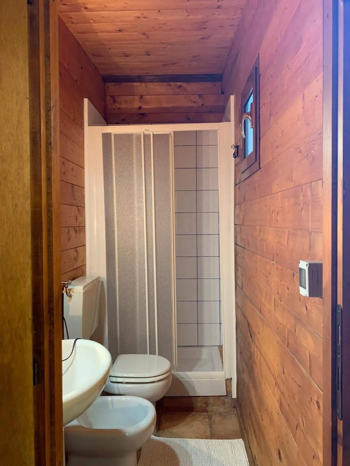 Night in the Wood Sorbo