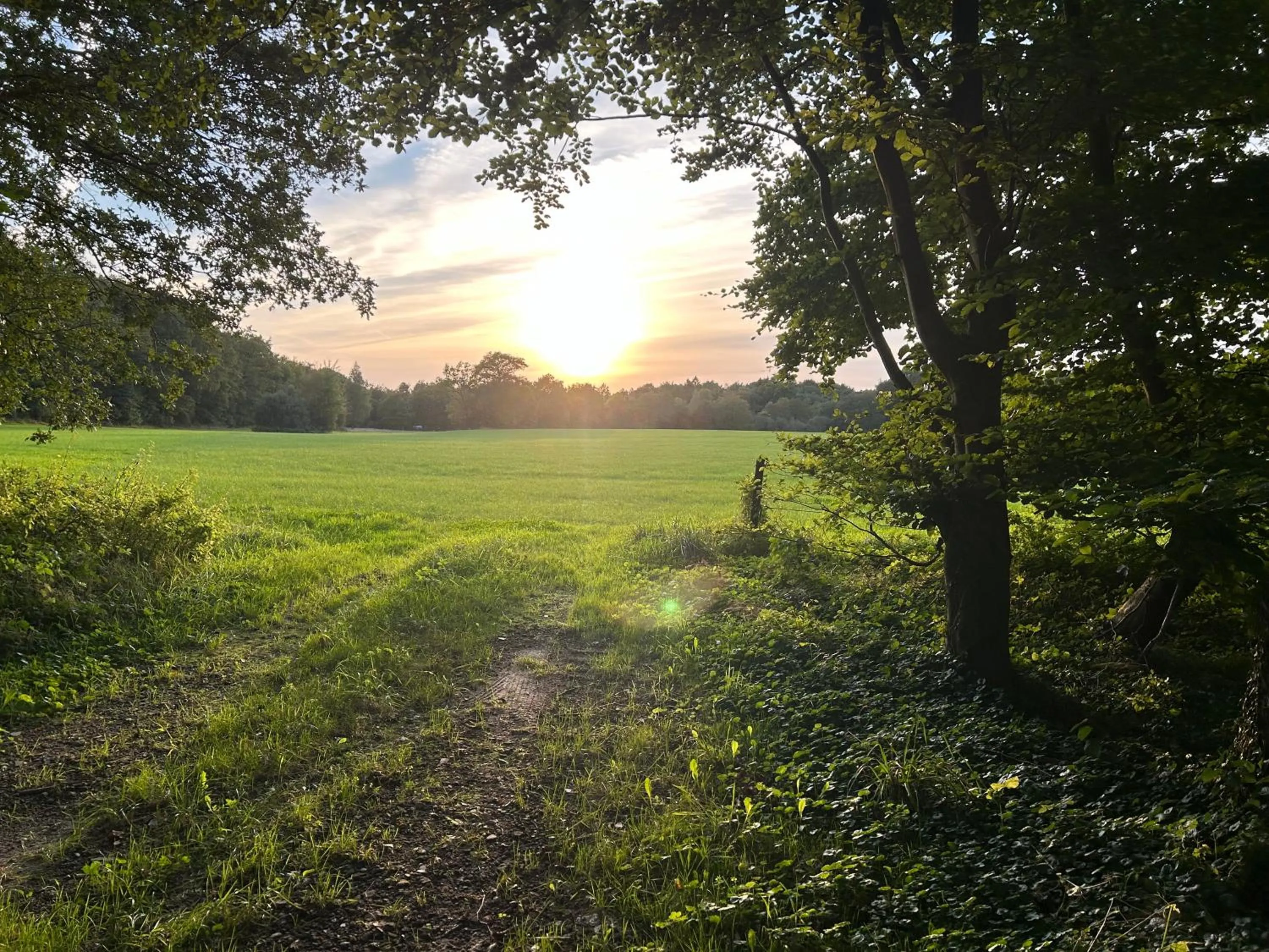Natural landscape in De Postelhoek B&B