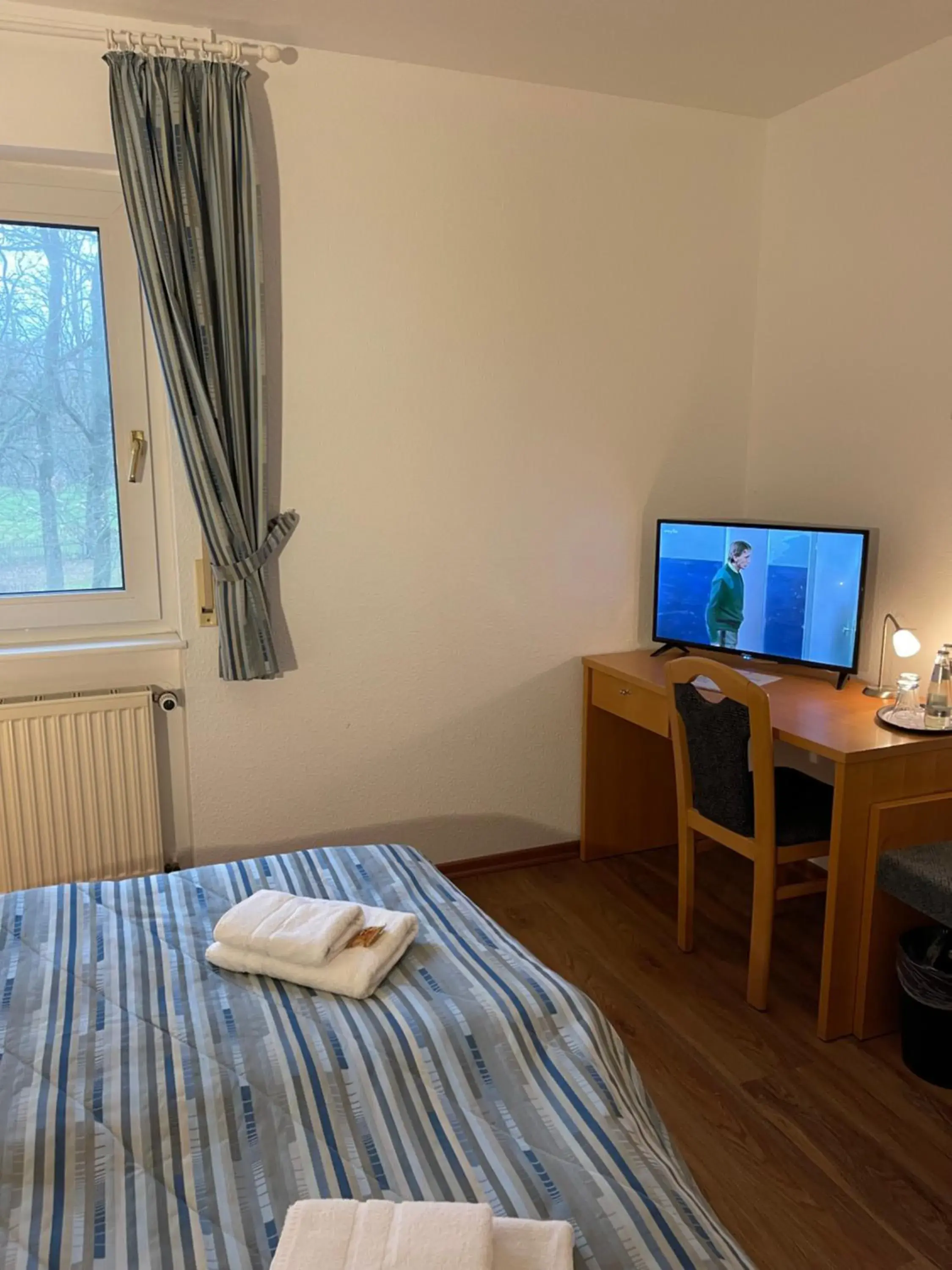 Double Room - single occupancy in Hotel Luther Birke Wittenberg Double Room - single occupancy in Hotel Luther Birke Wittenberg