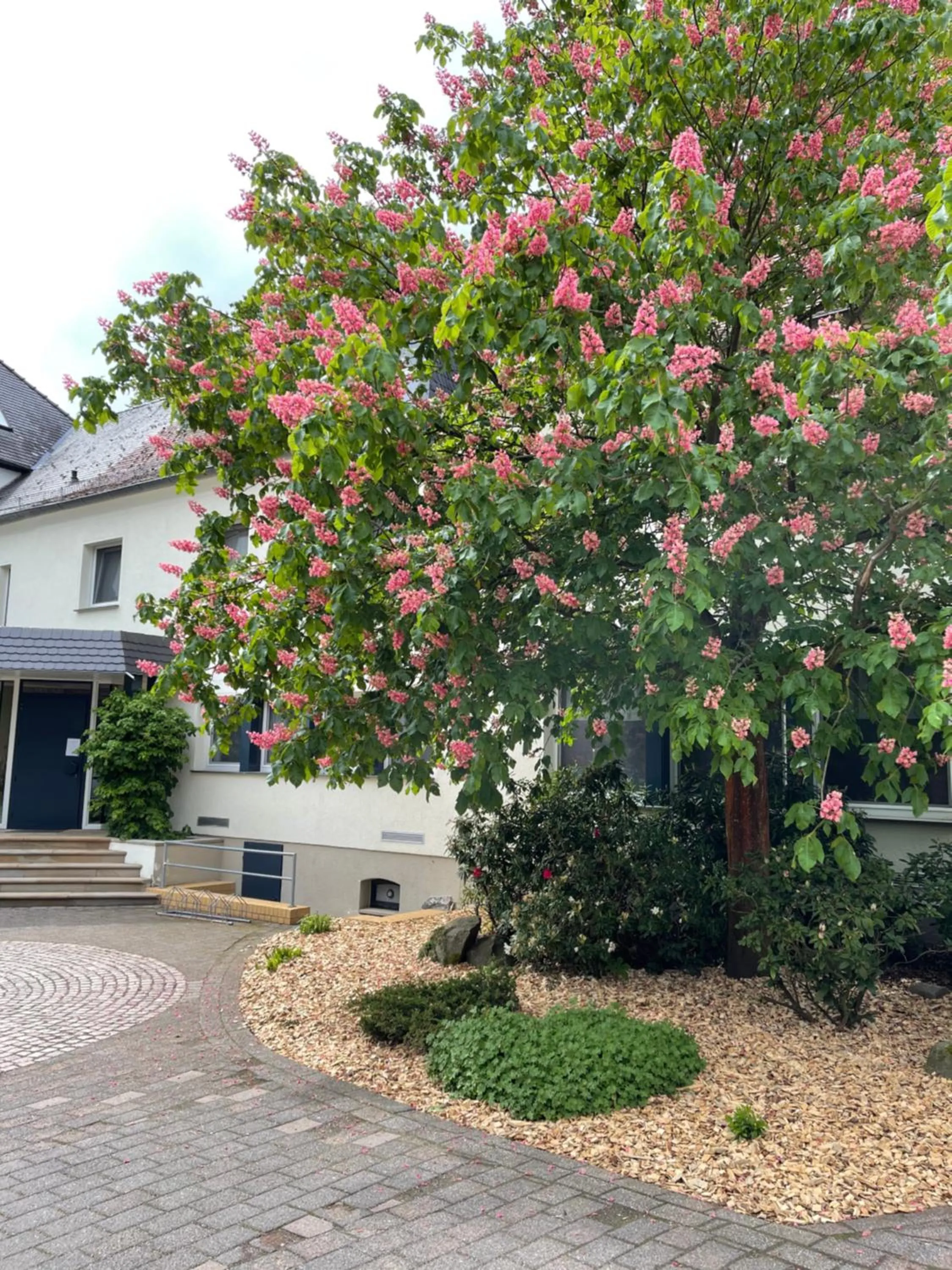 Property building in Hotel Luther Birke Wittenberg