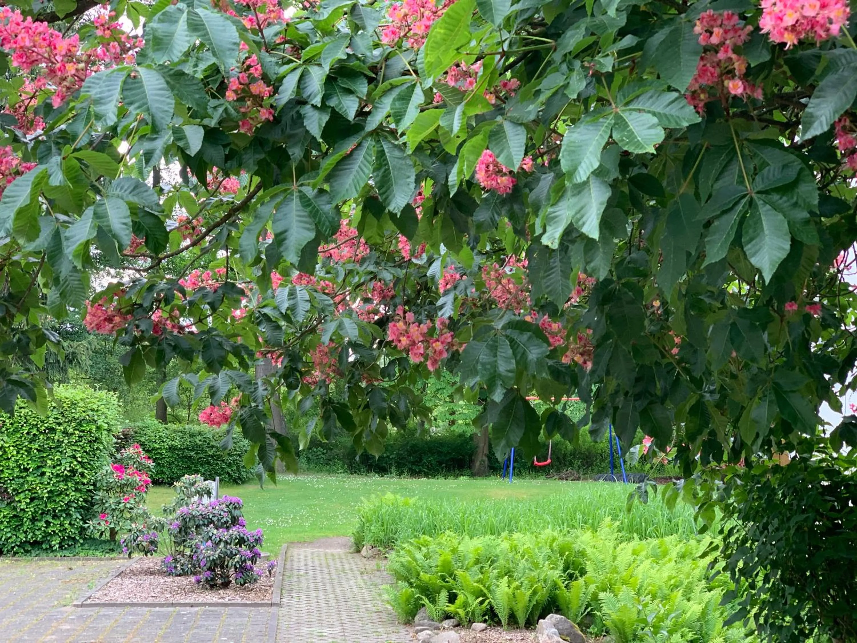 Parking in Hotel Luther Birke Wittenberg