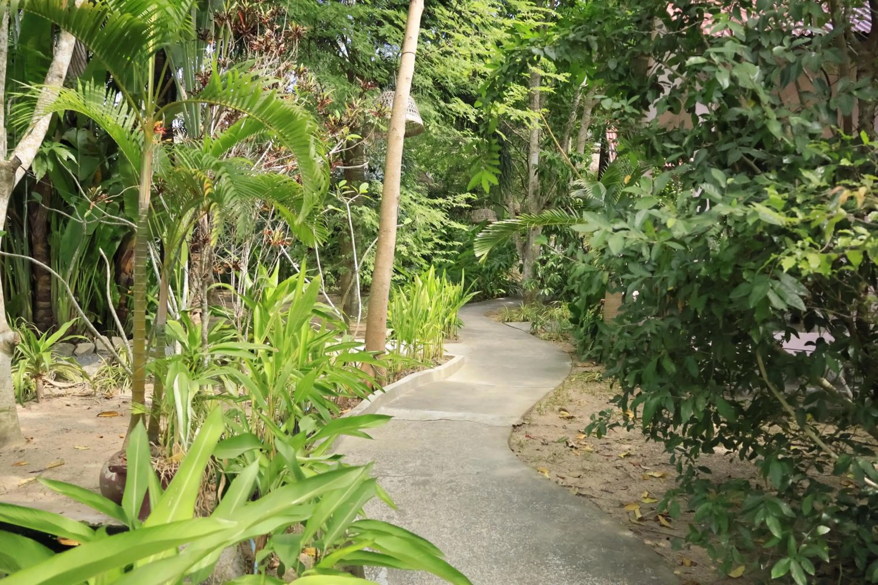 Garden in Bird of Paradise Bungalows