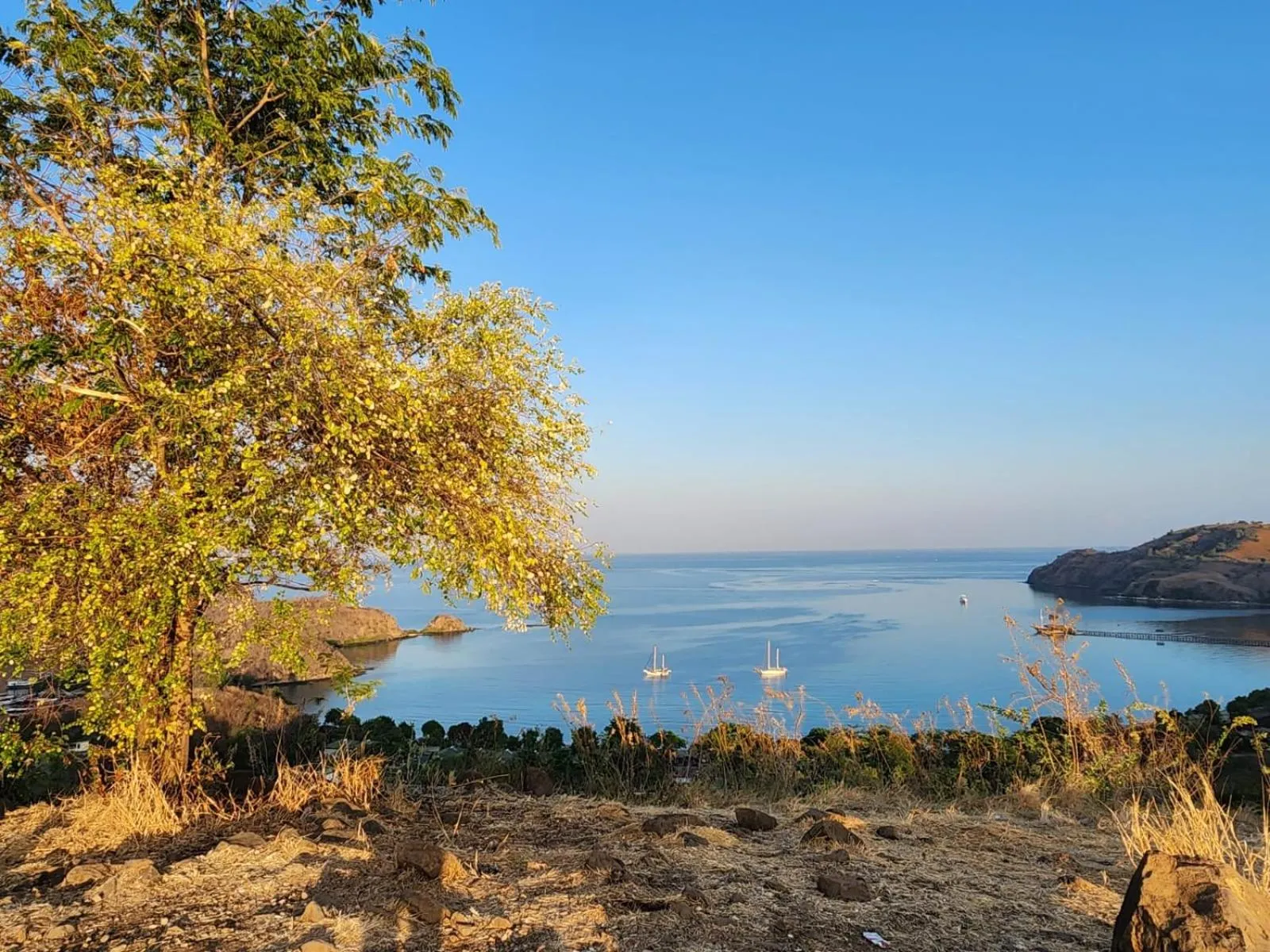 Hiking in Sylvia Hotel & Resort Komodo