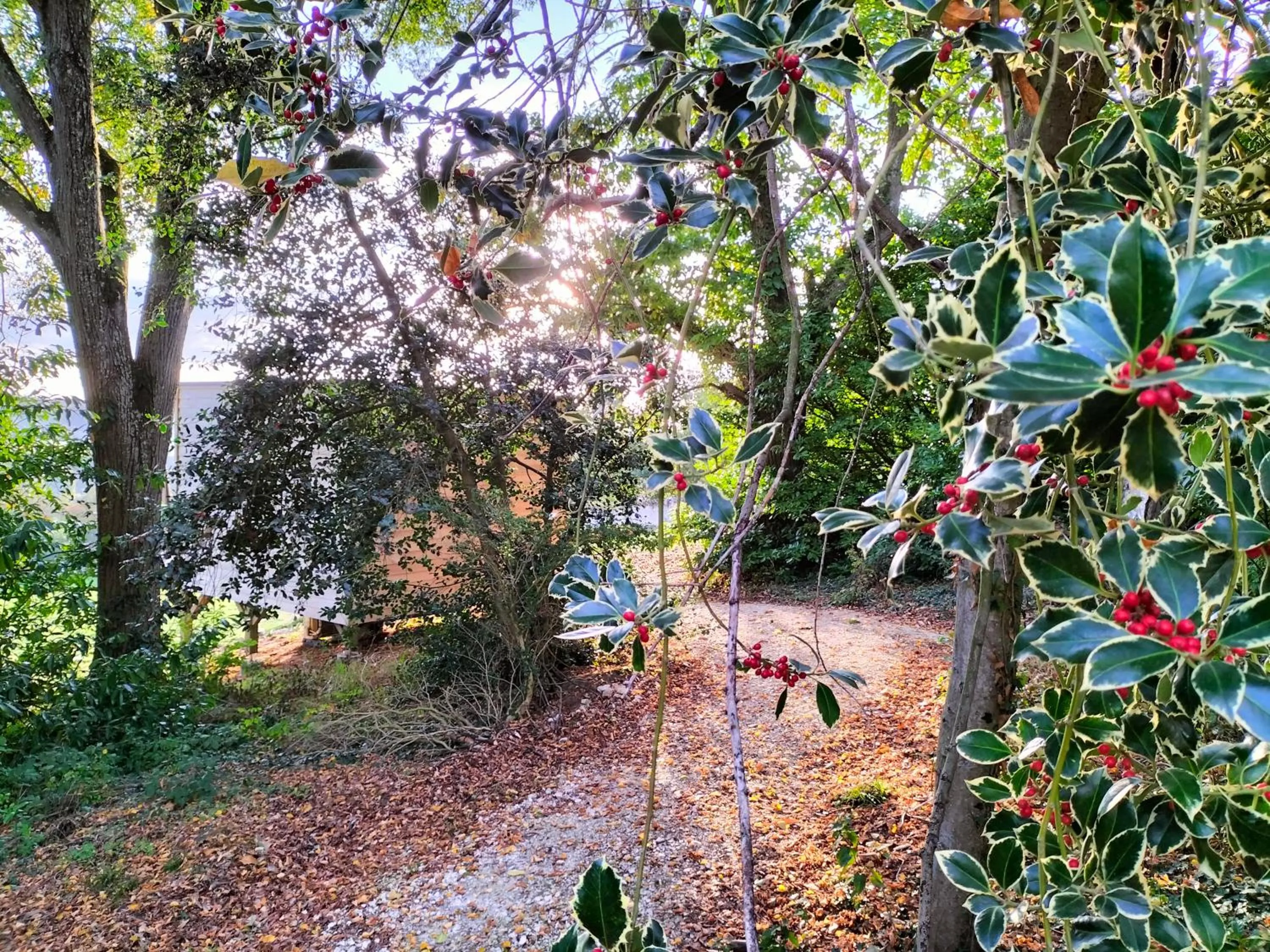 acessibility in Demeure de la Garenne