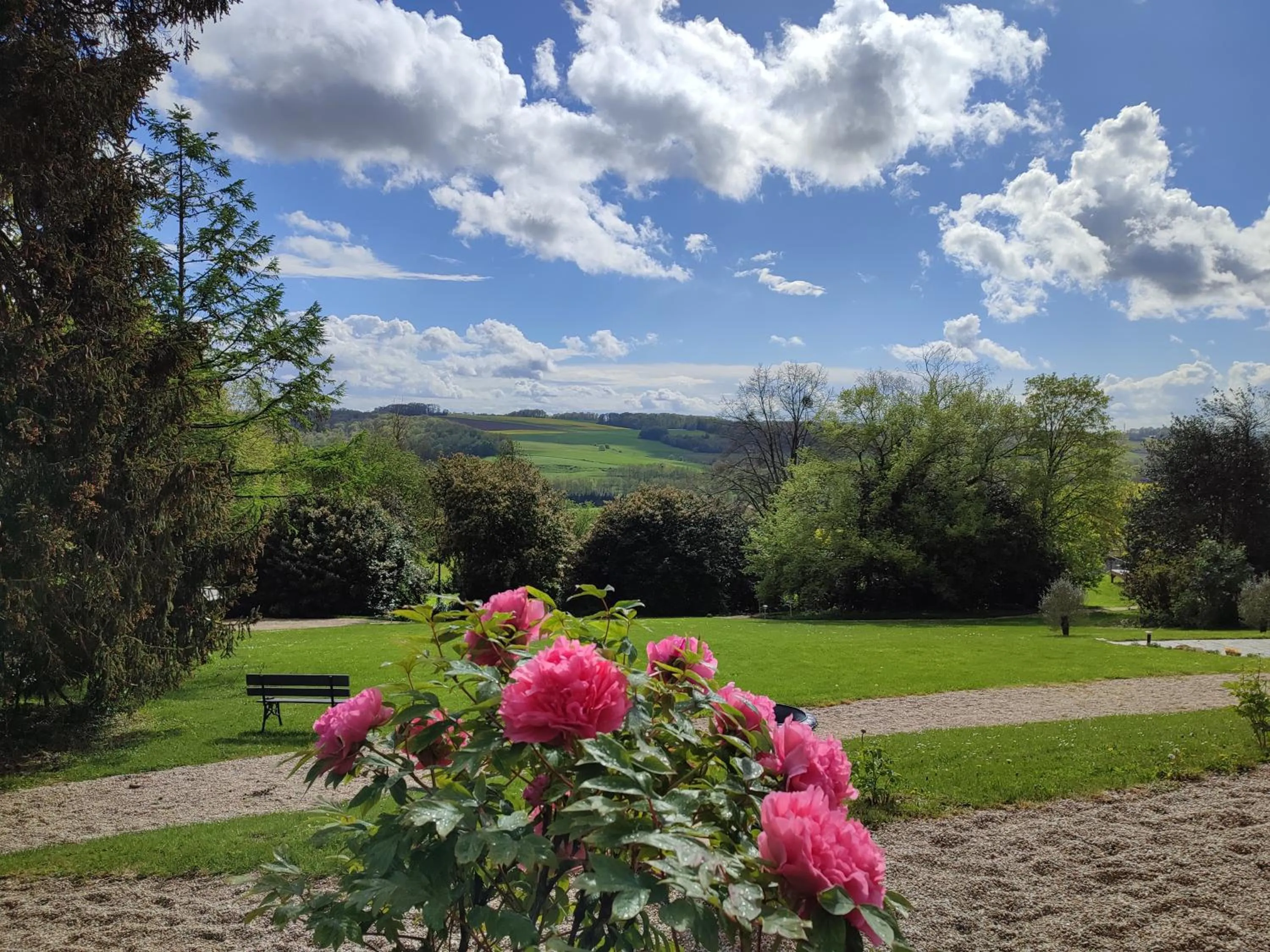 Garden in Demeure de la Garenne