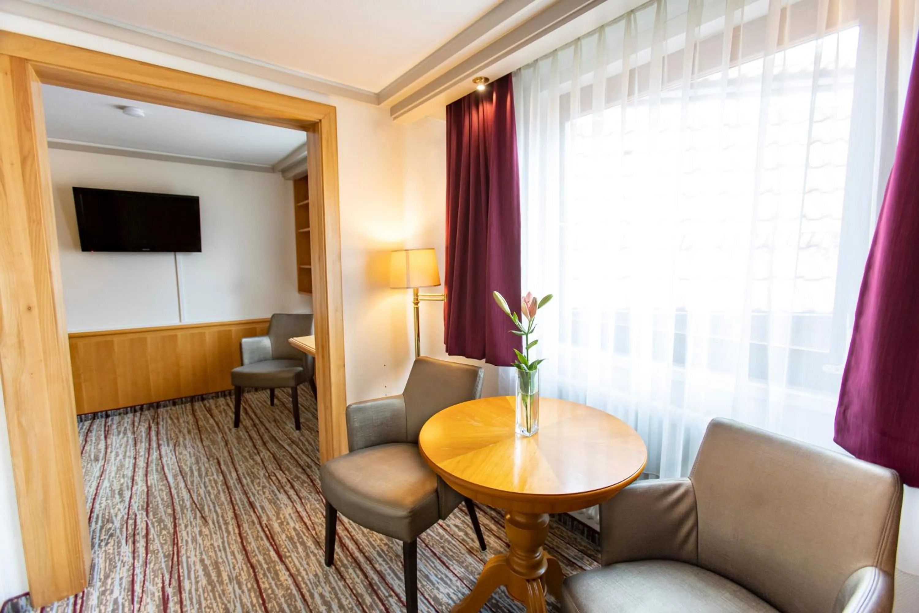 TV and multimedia in Hotel Pelikan