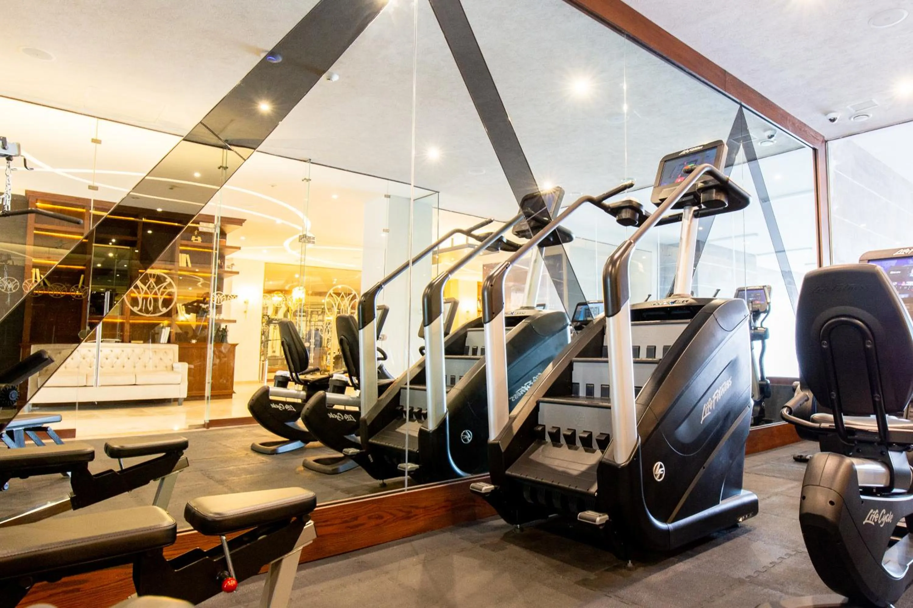 Fitness centre/facilities in HOTEL & SPA MANSION SOLIS by HOTSSON