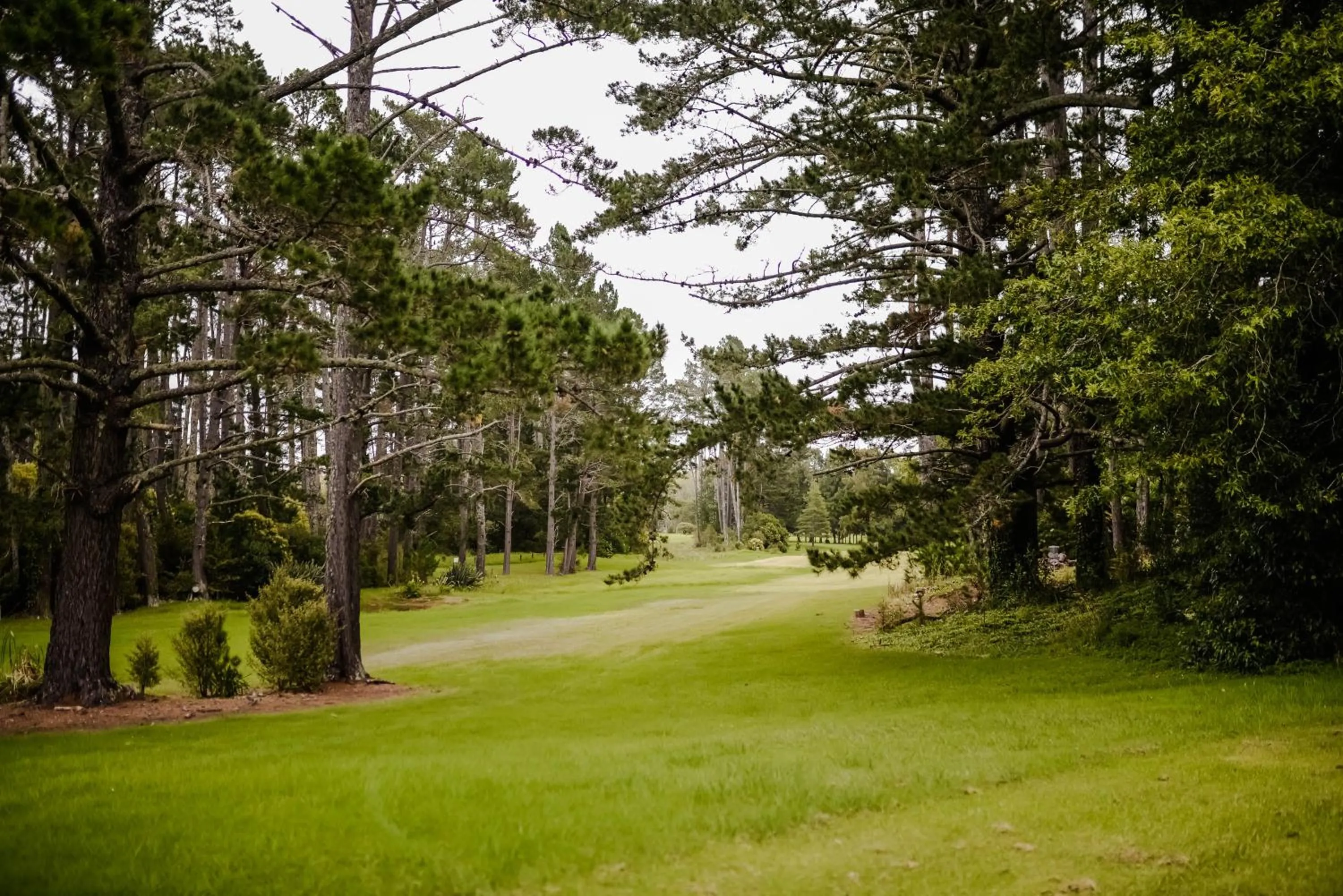 Golfcourse in Northridge Golf Resort