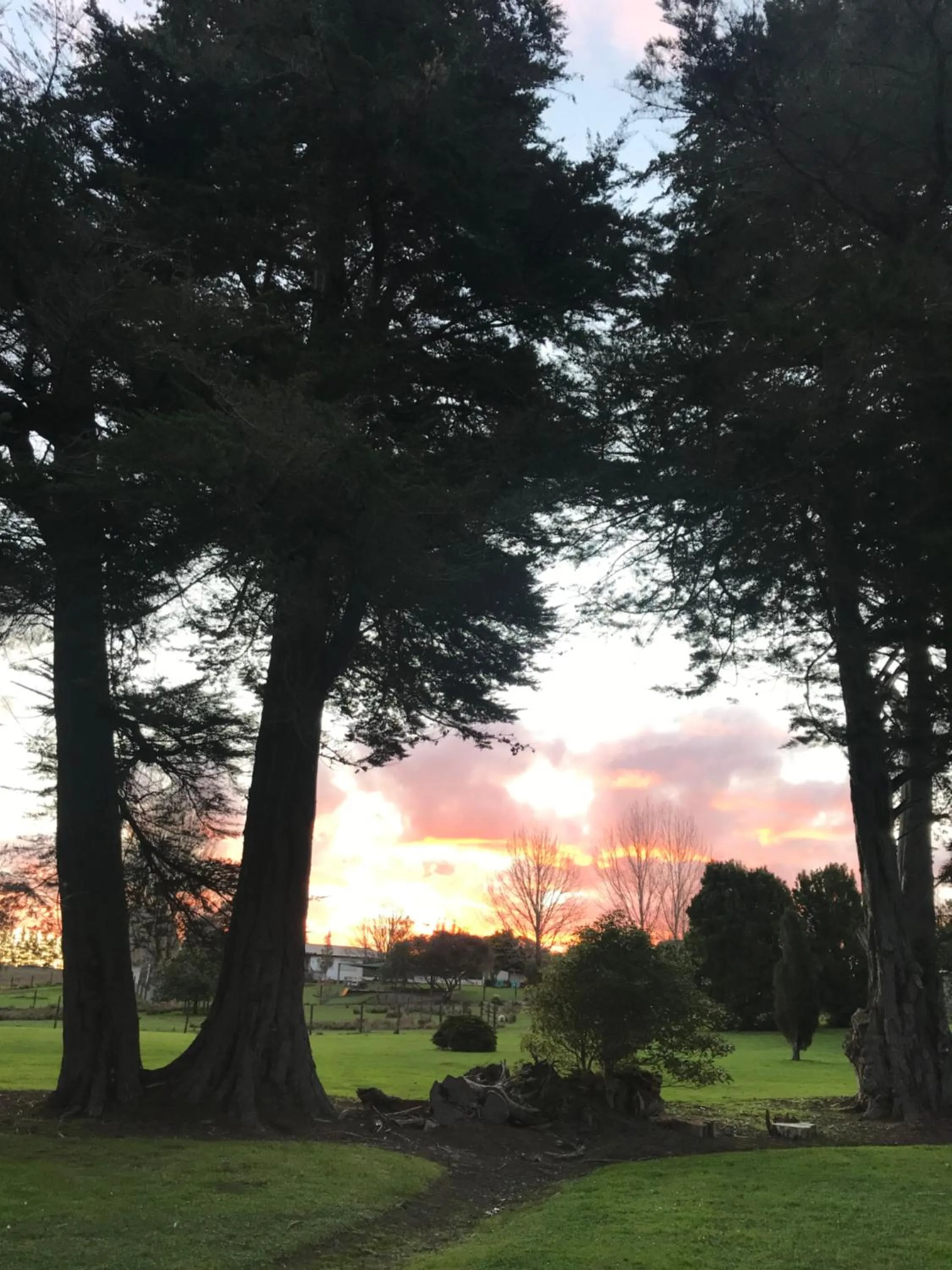 Garden in Northridge Golf Resort