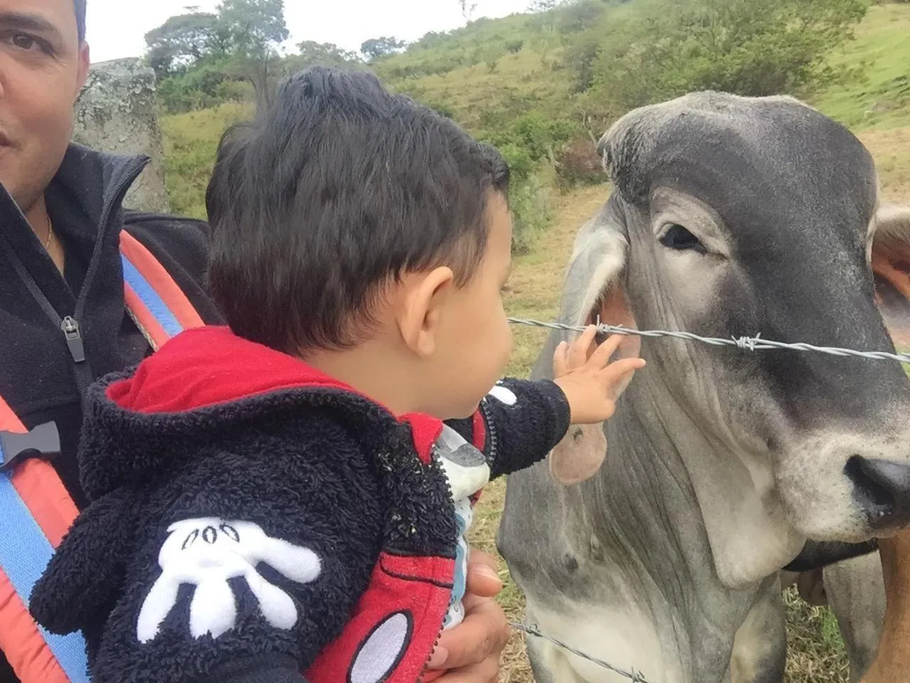 Hotel Campestre La Fuente - Piscina