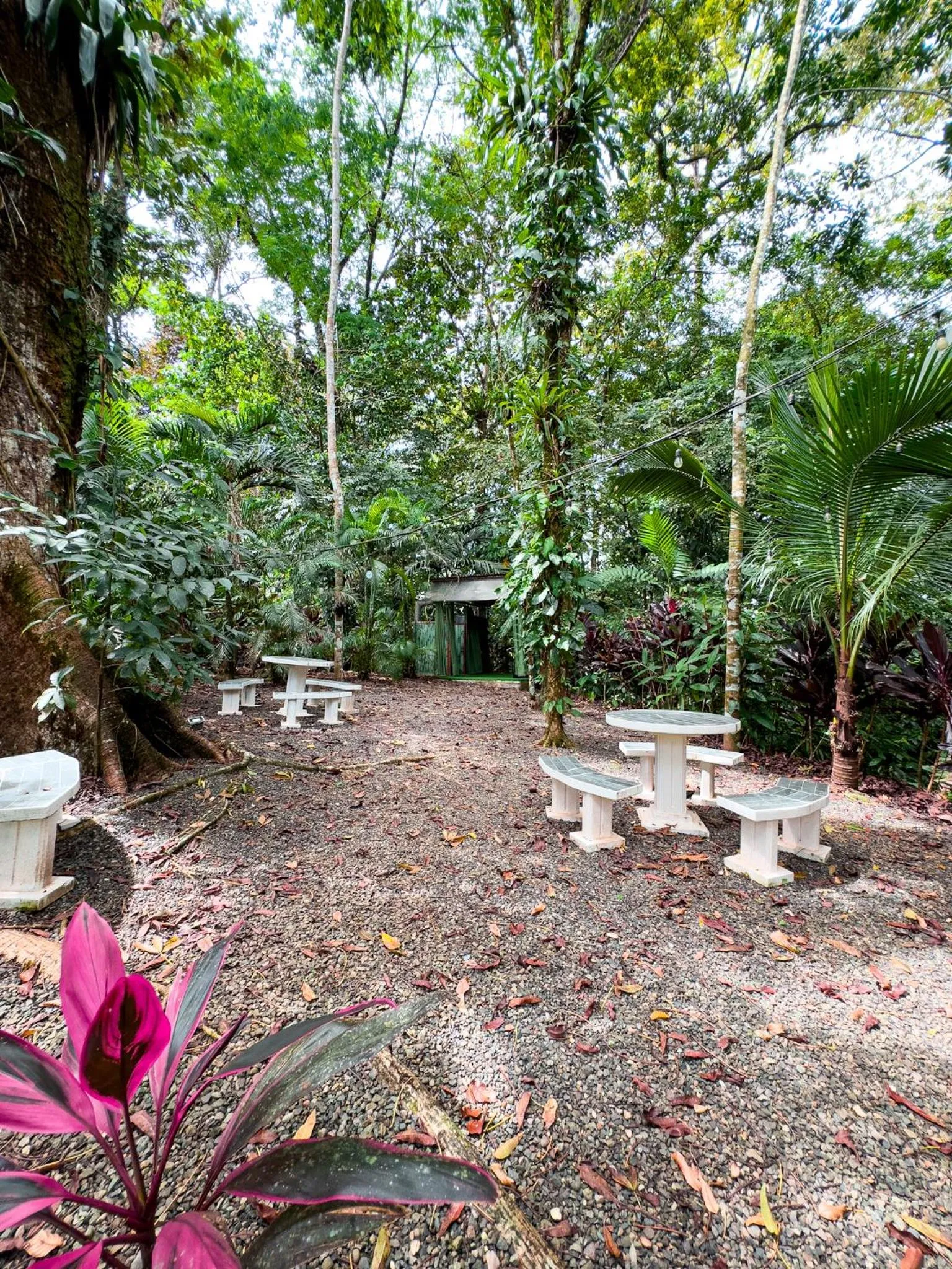 Mountain view in Cabañas Río Escondido en La Fortuna