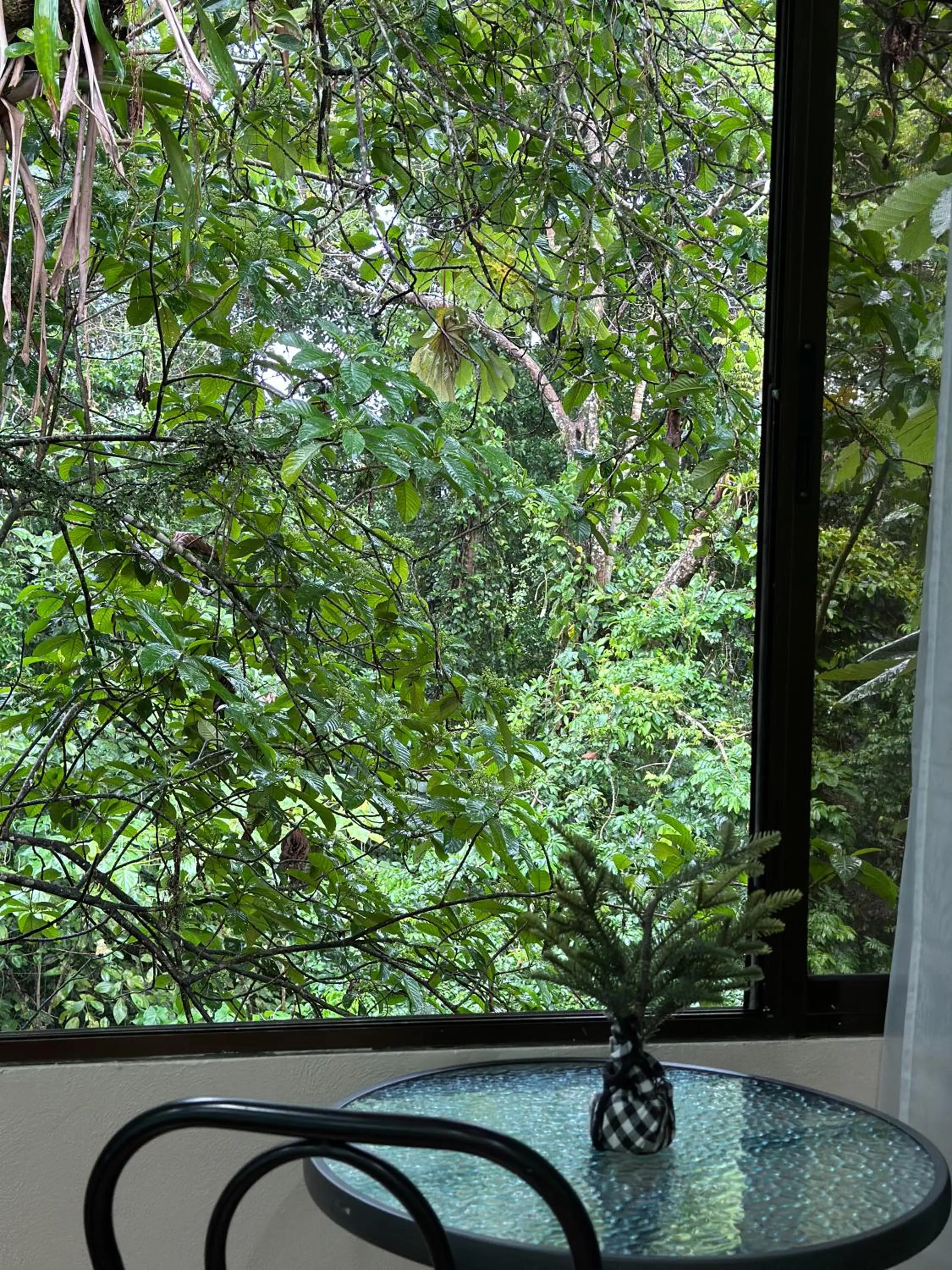 Cabañas Río Escondido en La Fortuna