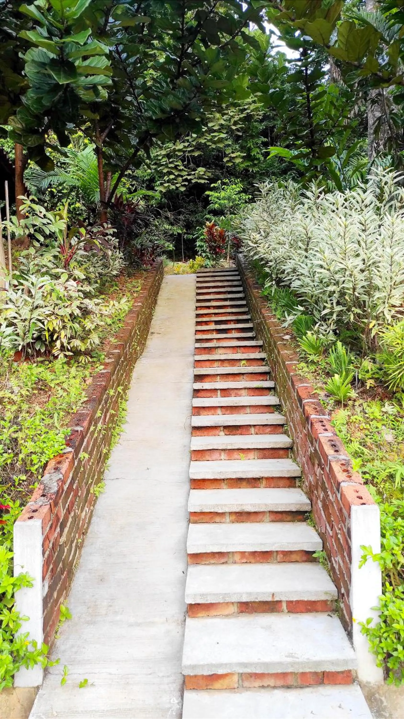 S`ekar Pinang Langkawi