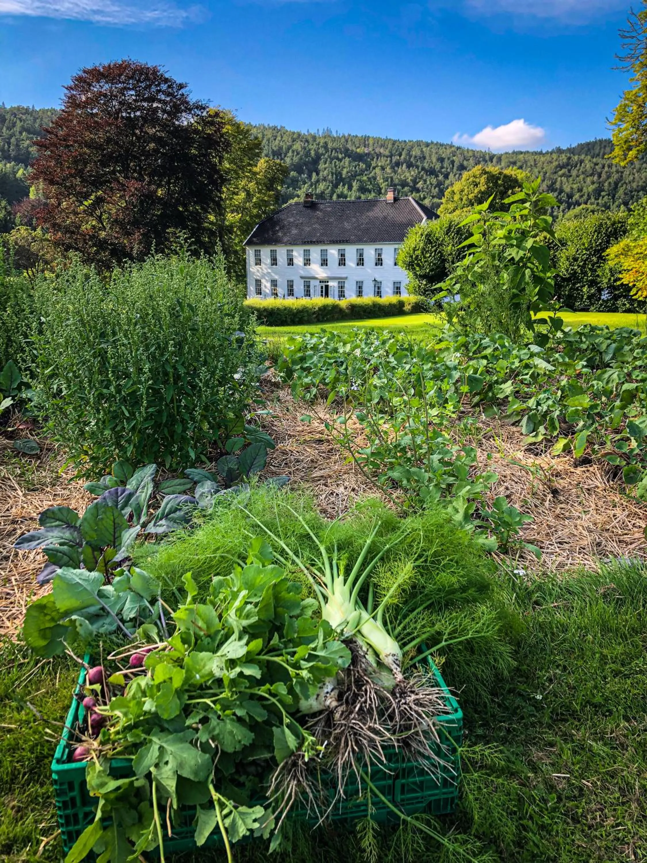 Property building in Boen Gård
