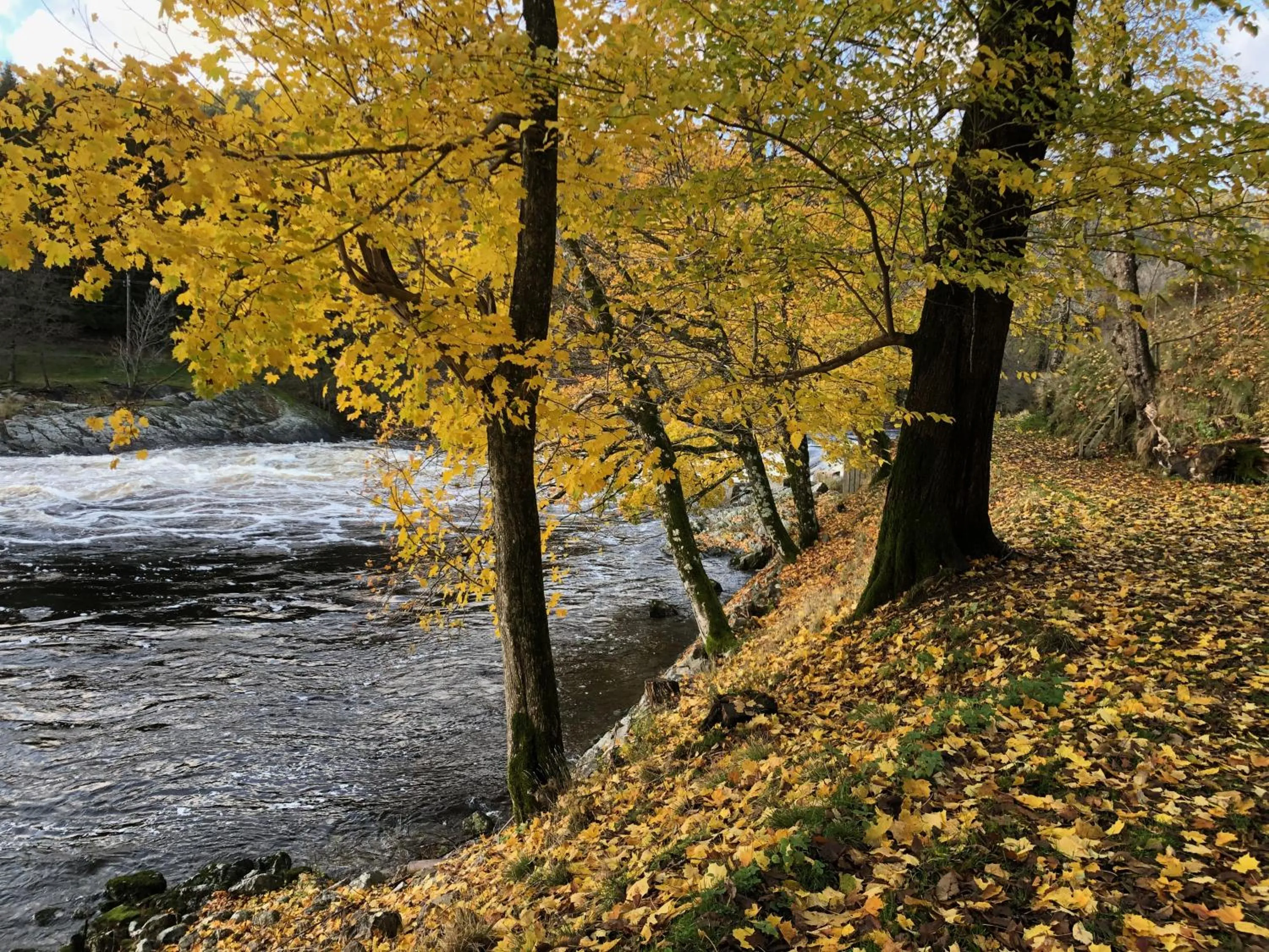 Property building in Boen Gård