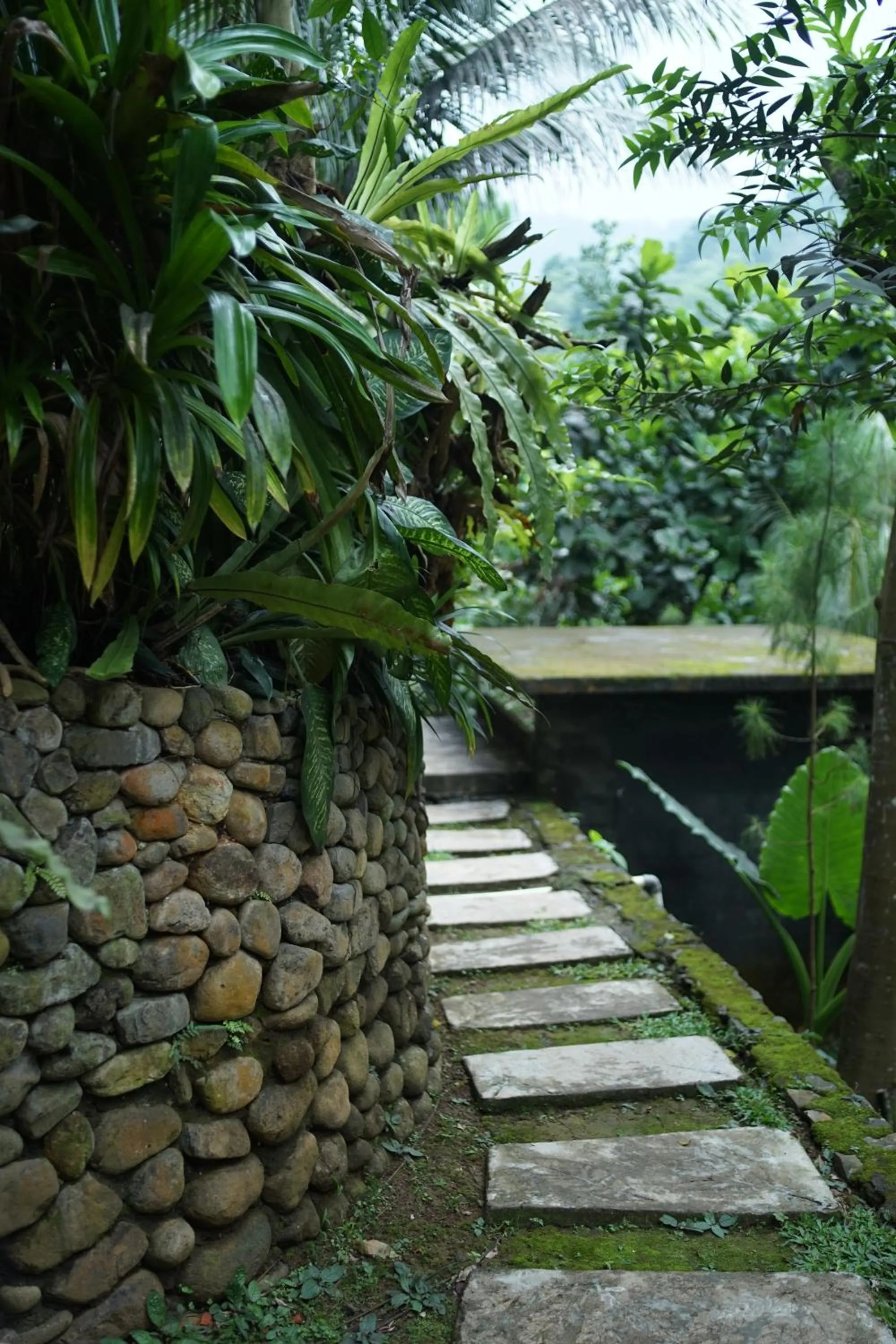 Garden view in Tirta Arsanta Hot Springs & Villa
