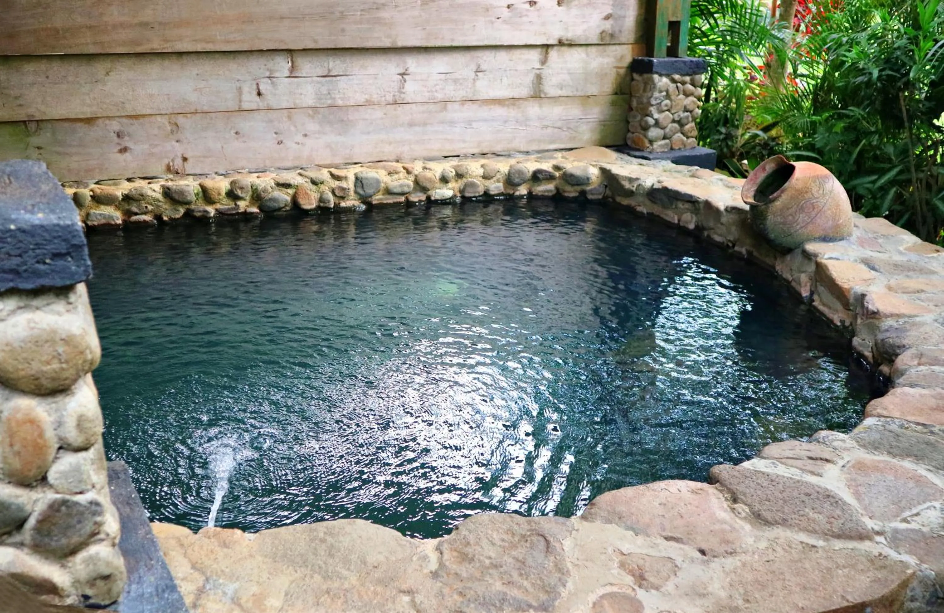 Pool view in Tirta Arsanta Hot Springs & Villa