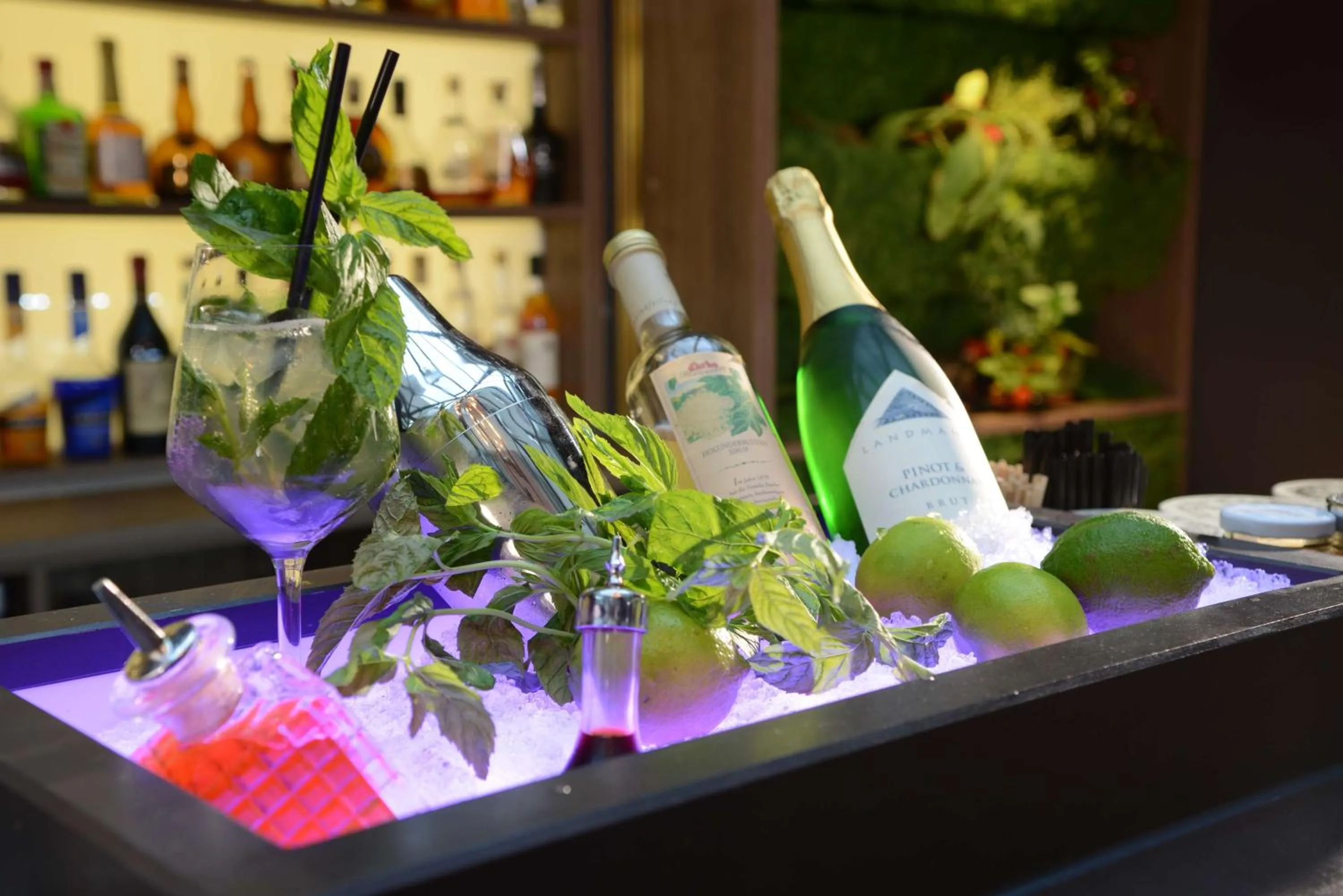 Food and drinks in Hotel Victoria, BW Signature Collection