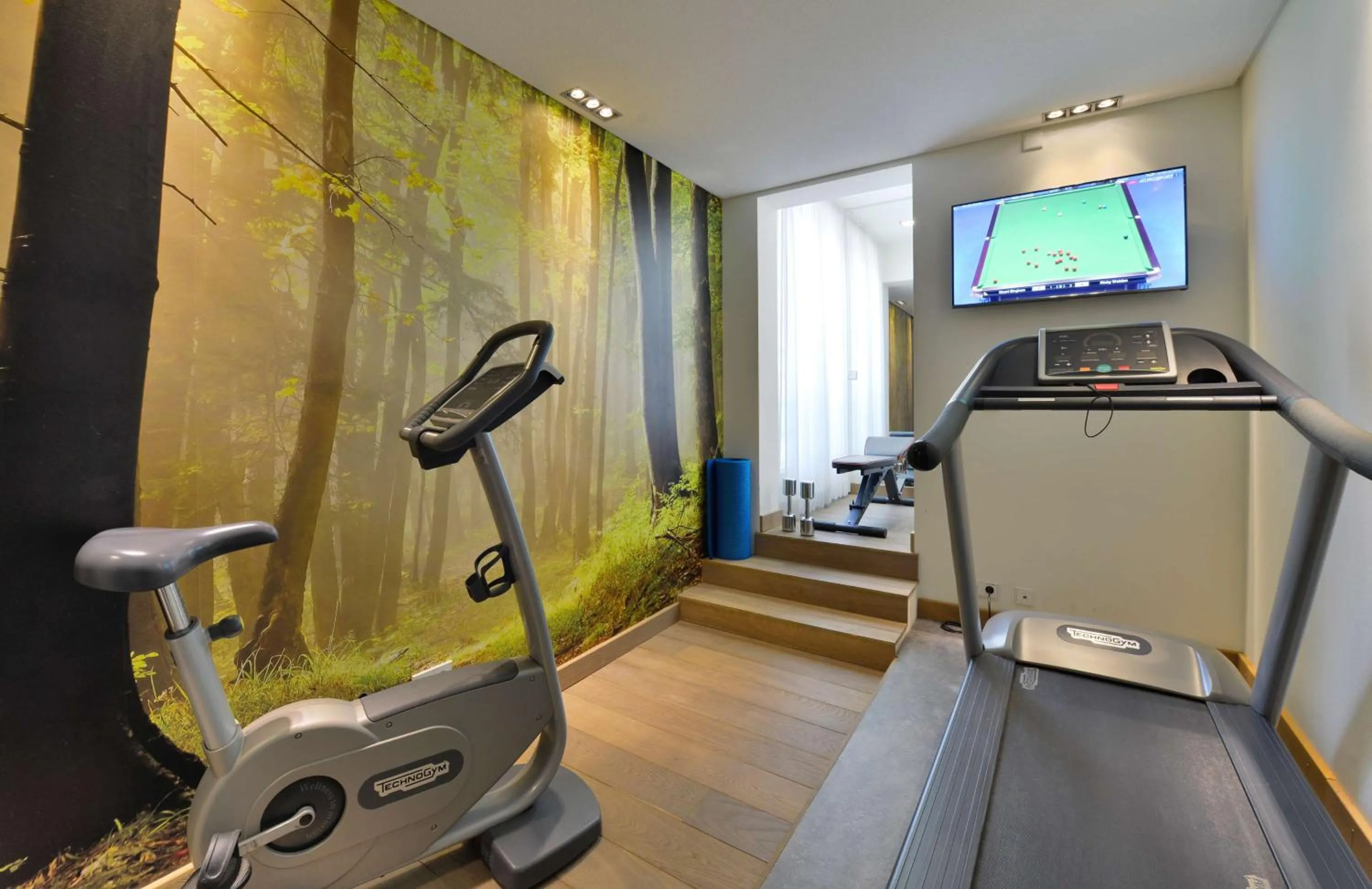 Fitness centre/facilities in Hotel Victoria, BW Signature Collection