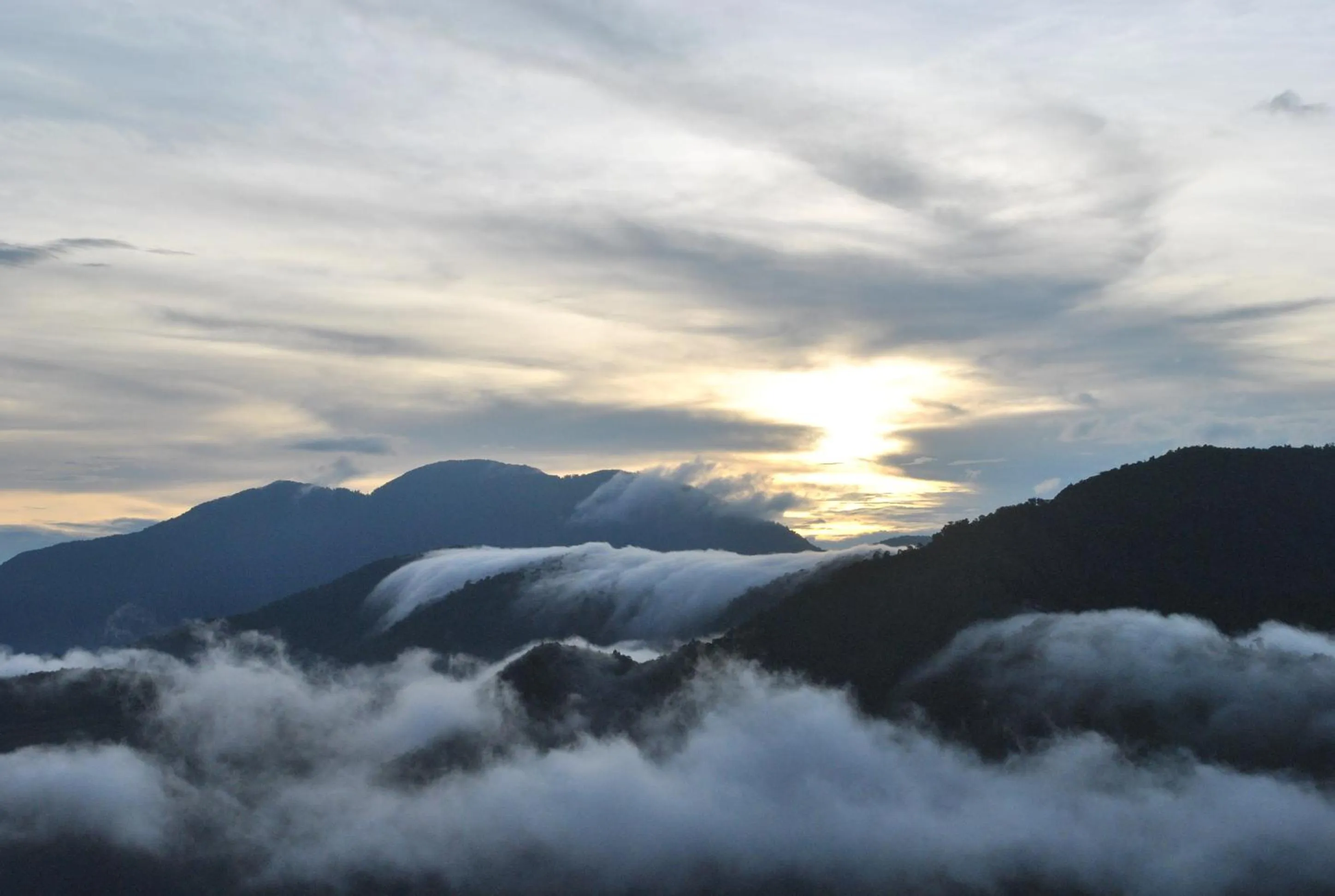 View (from property/room) in Star Villa