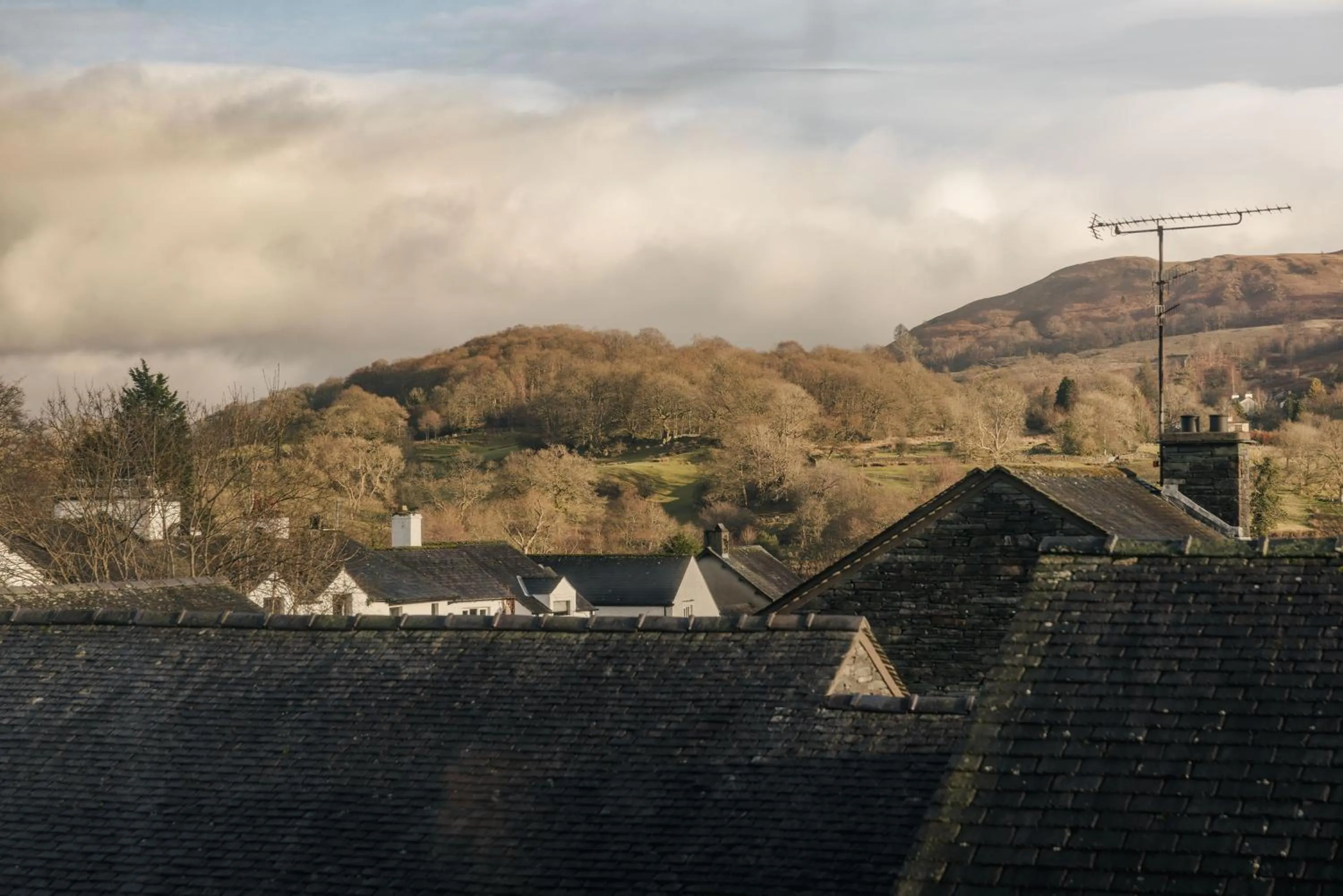 The Hive at Poppi-Red