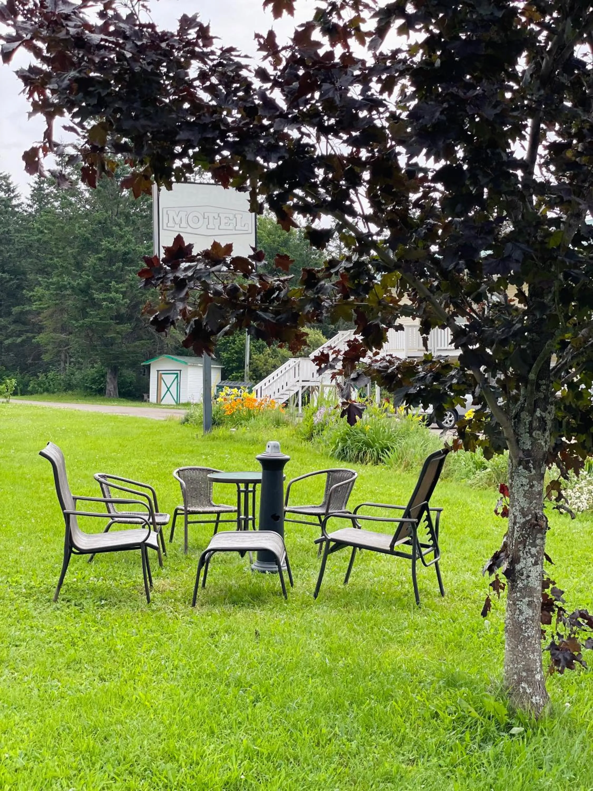Garden in Scenic Motel Moncton