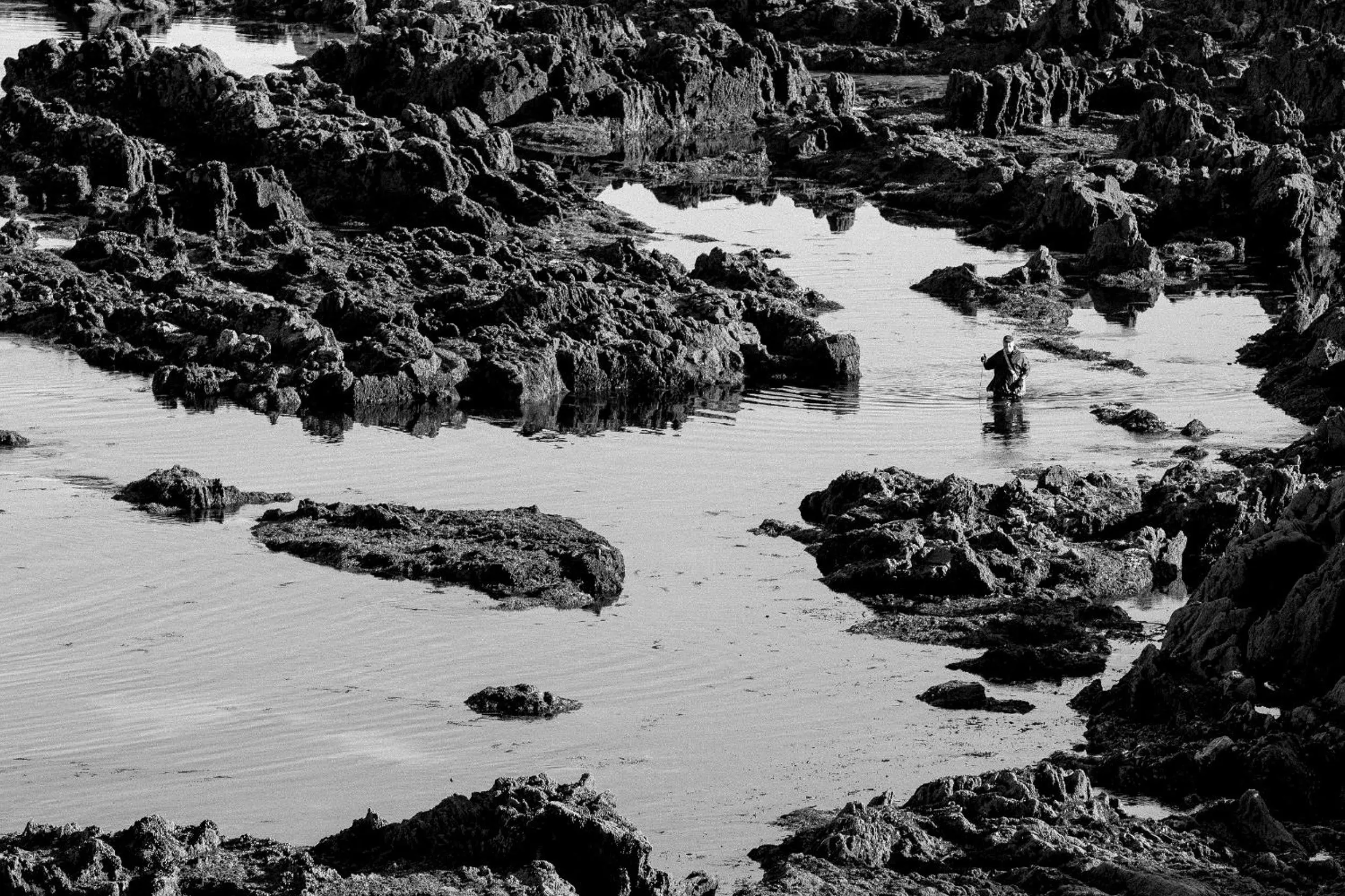 Natural landscape in Hotel Arce