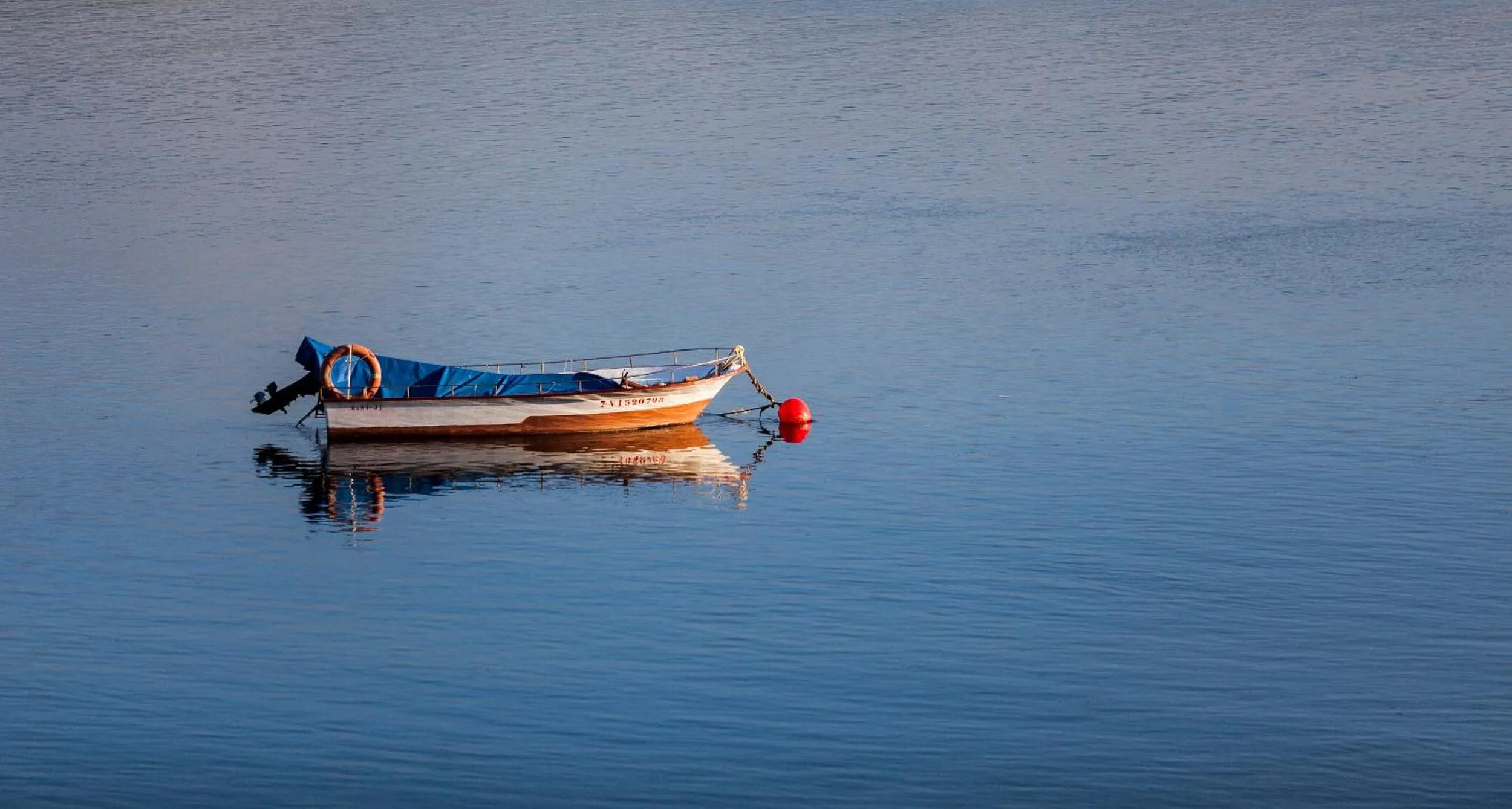Natural landscape in Hotel Arce