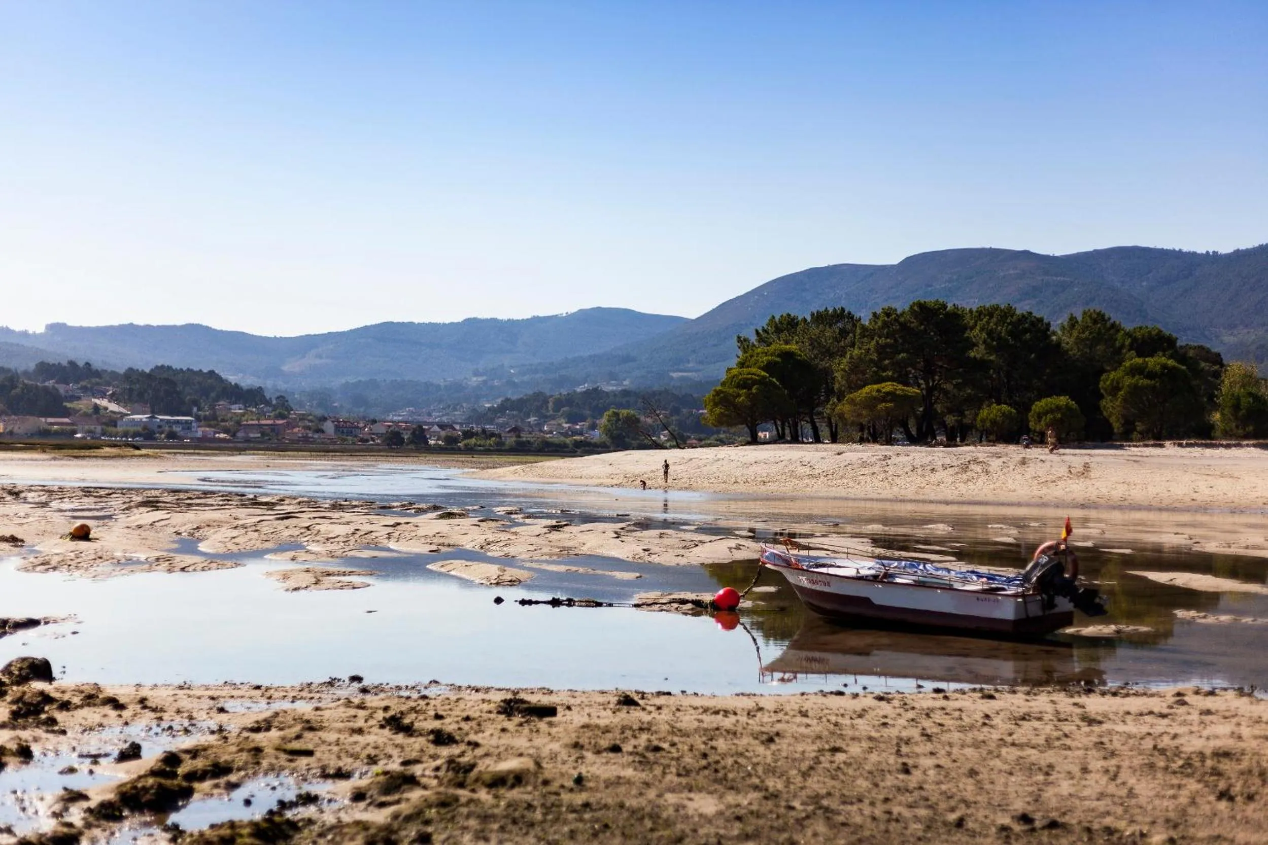Natural landscape in Hotel Arce