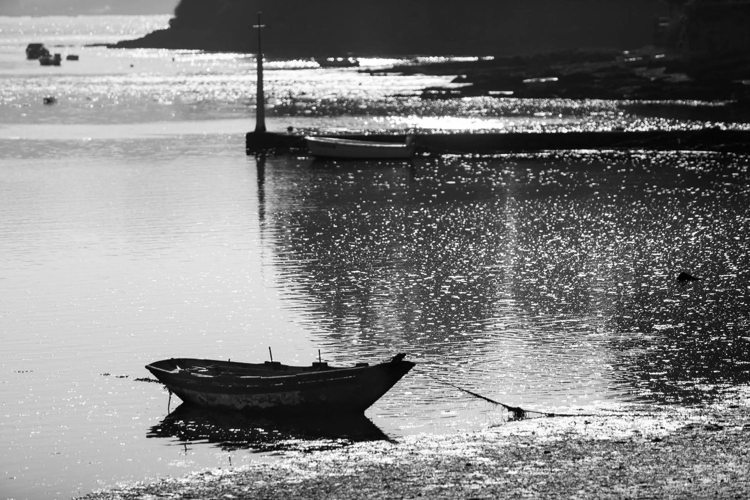 Natural landscape in Hotel Arce