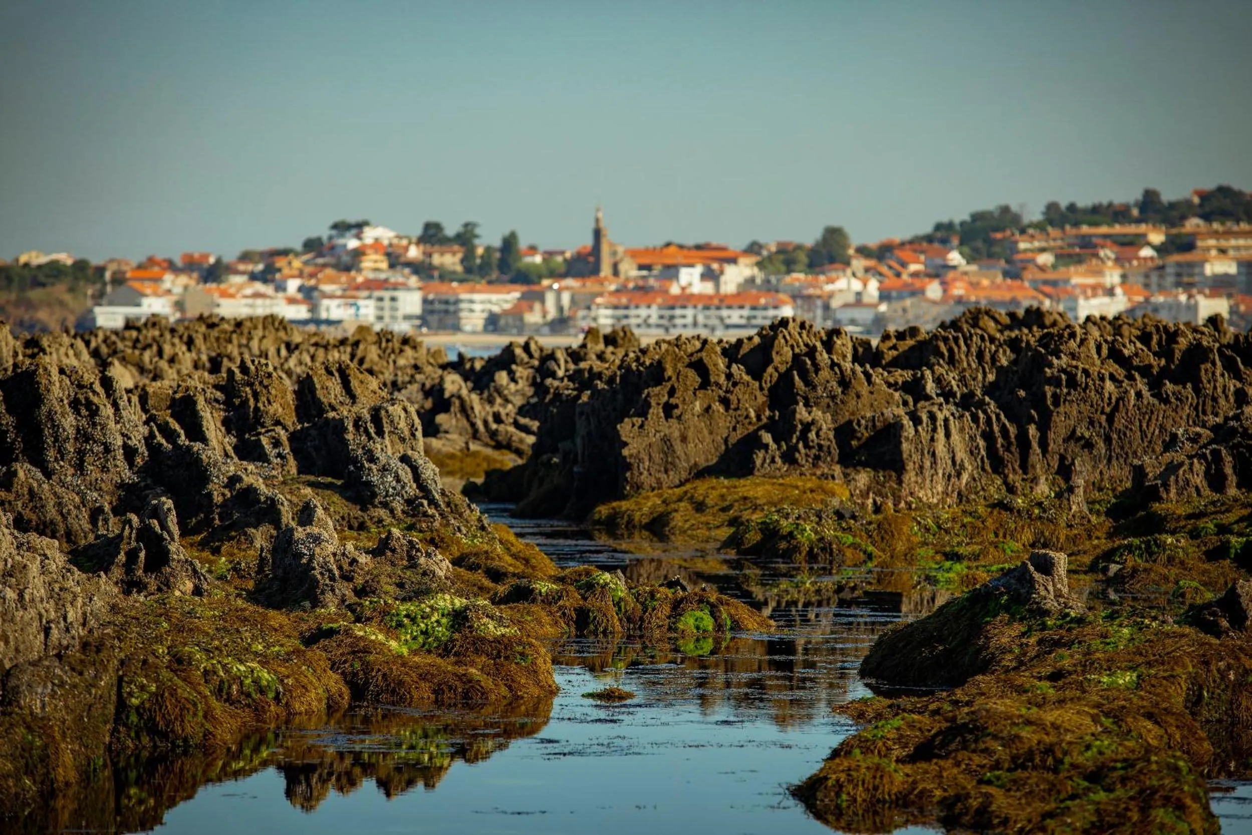 Natural landscape in Hotel Arce