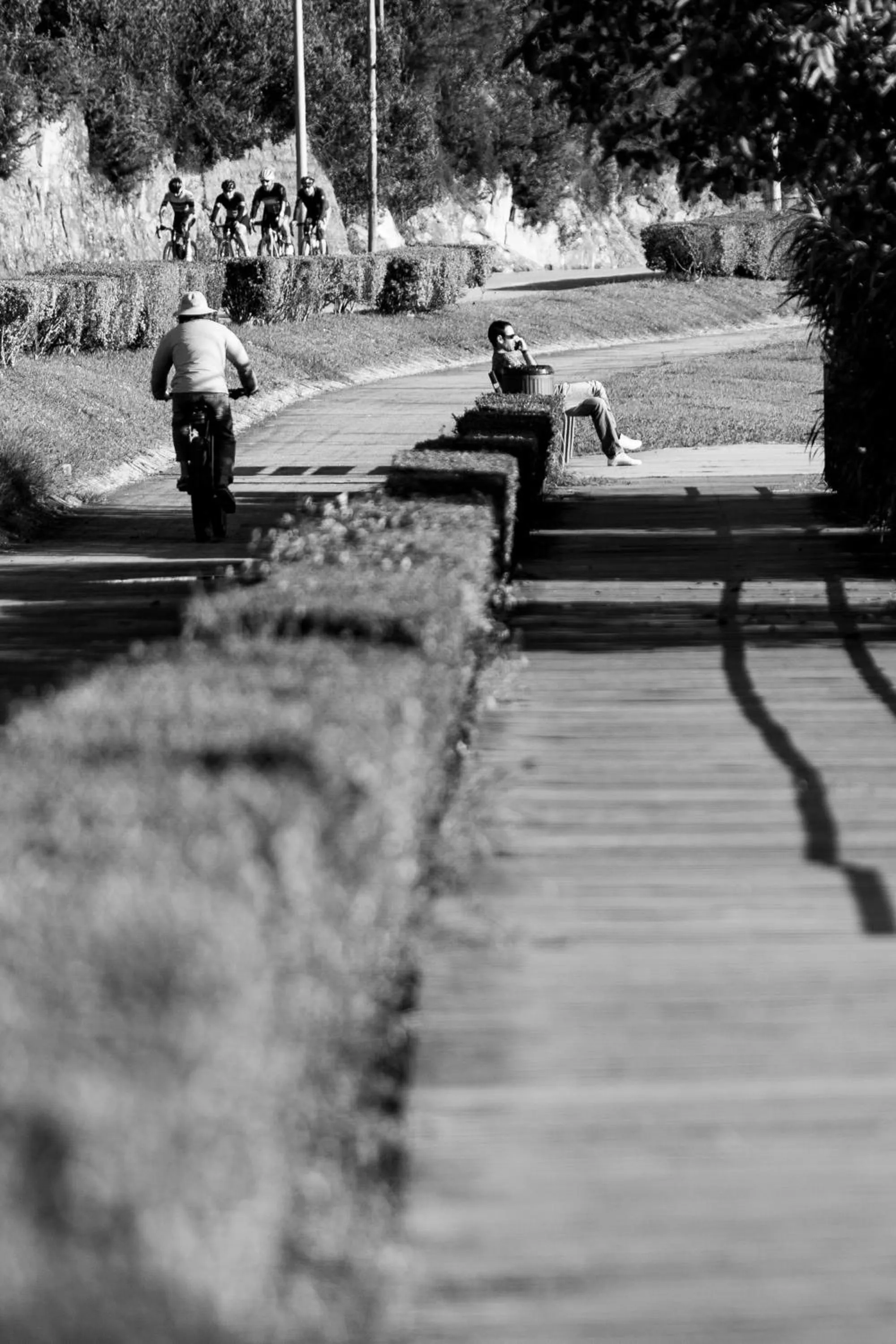Natural landscape in Hotel Arce