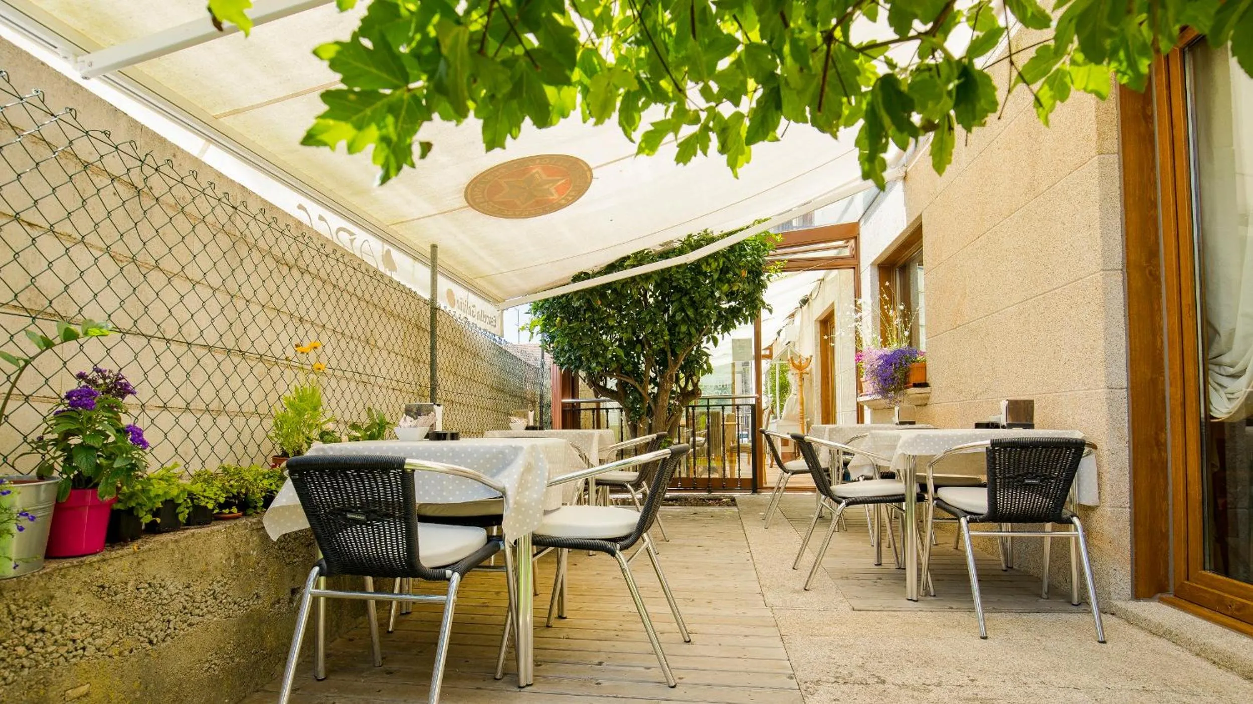 Garden view in Hotel Arce