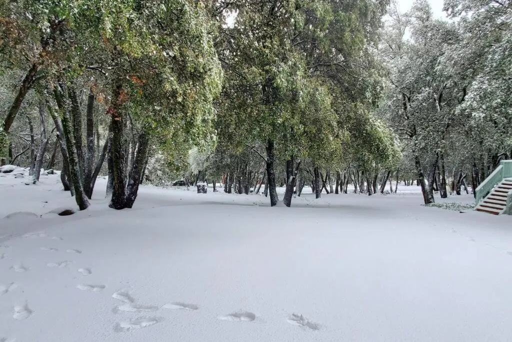 Natural landscape in Pine Hills Cabin in Julian