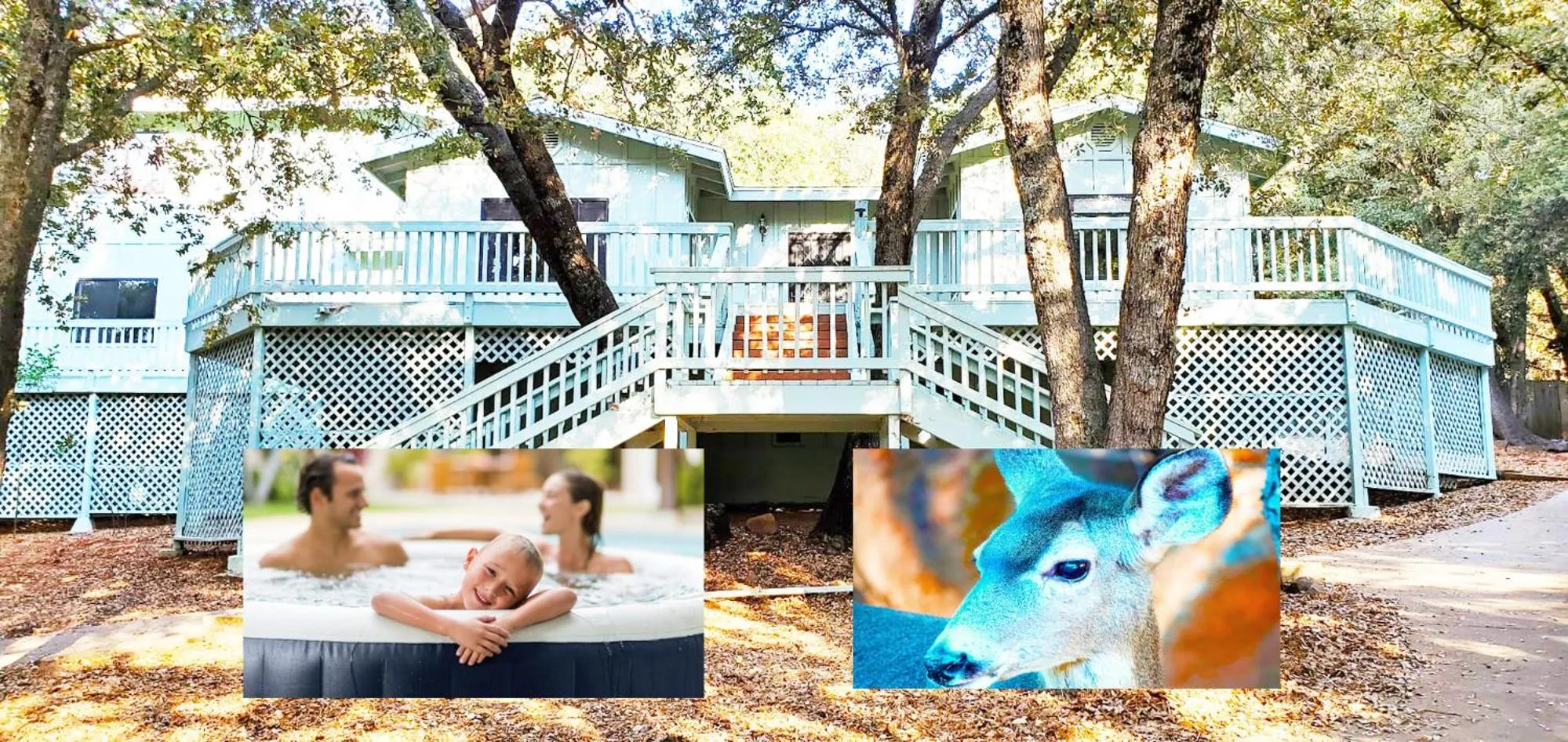 Property building in Pine Hills Cabin in Julian