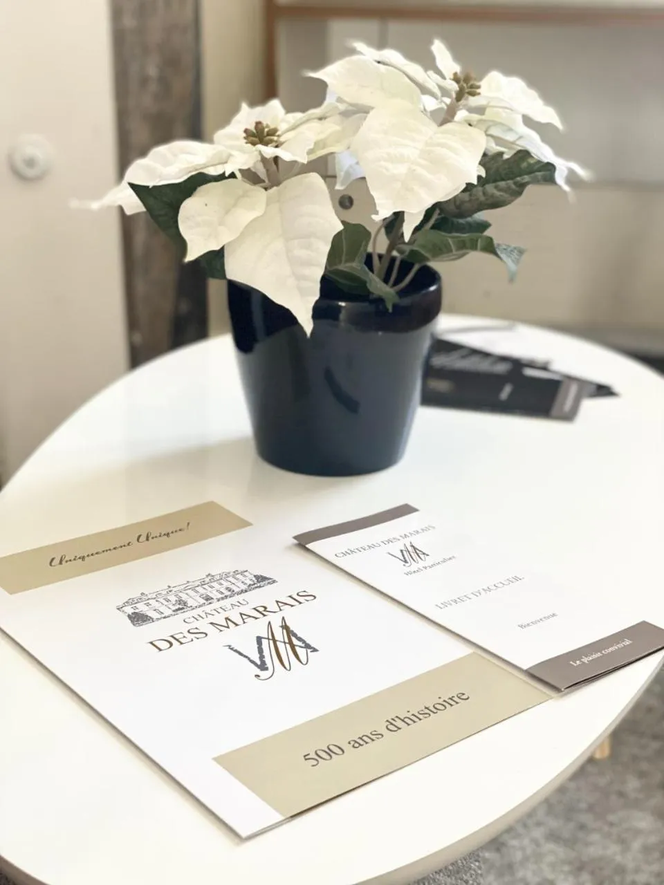 Bedroom in Hôtel Particulier CHÂTEAU DES MARAIS Proximité et vue sur le Lac de Grand lieu