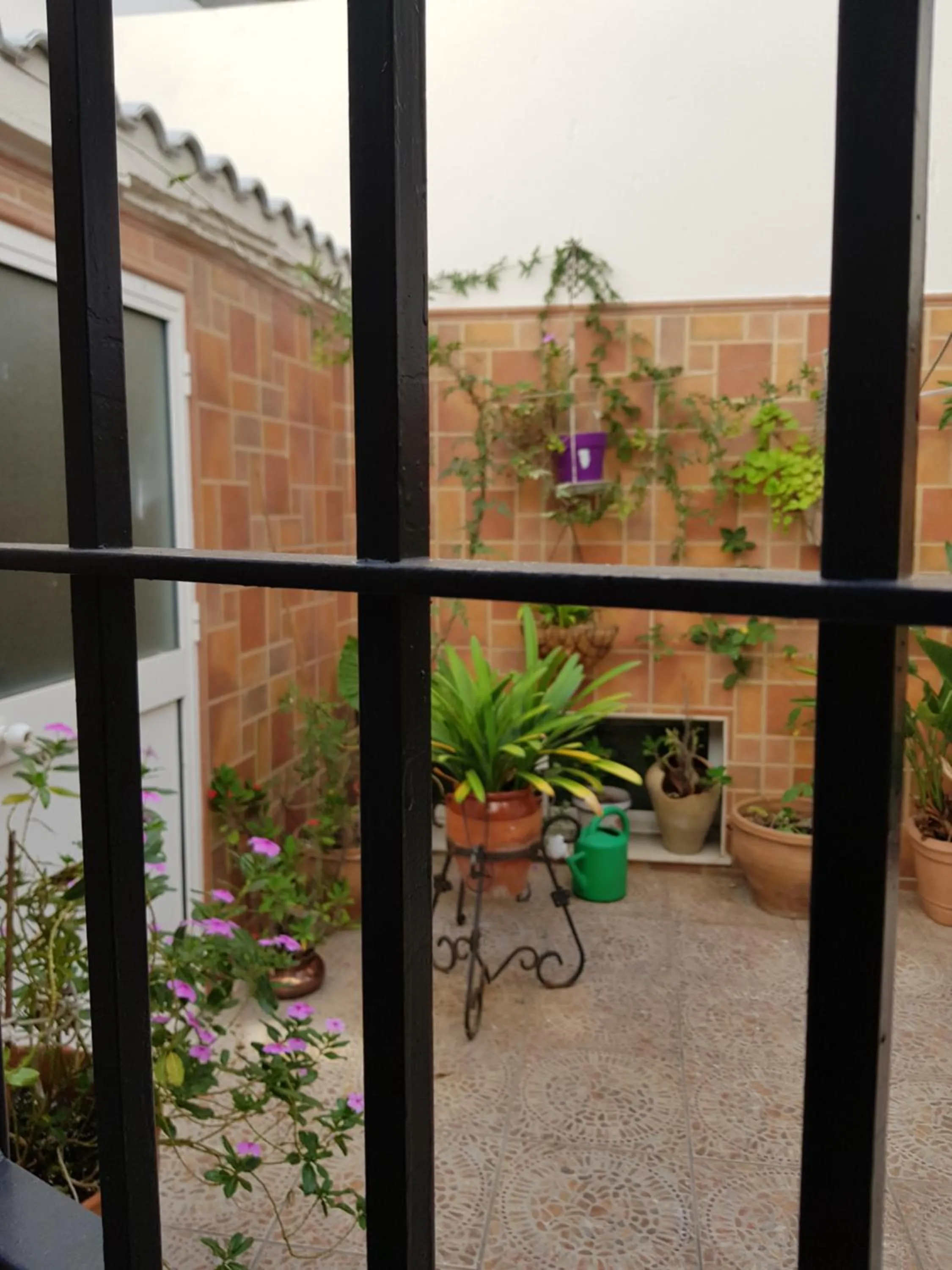 Patio in Pension La Vega