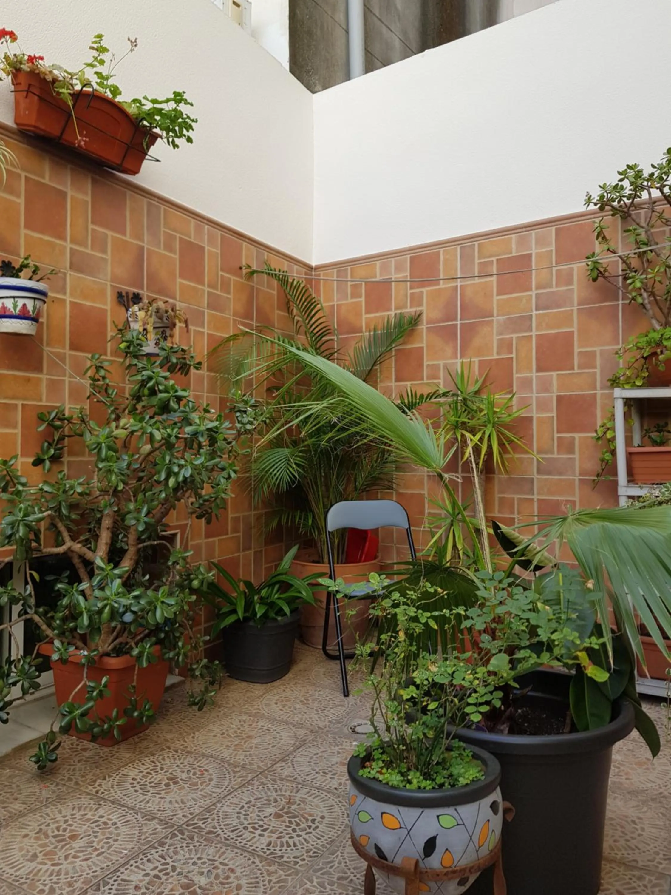 Patio in Pension La Vega